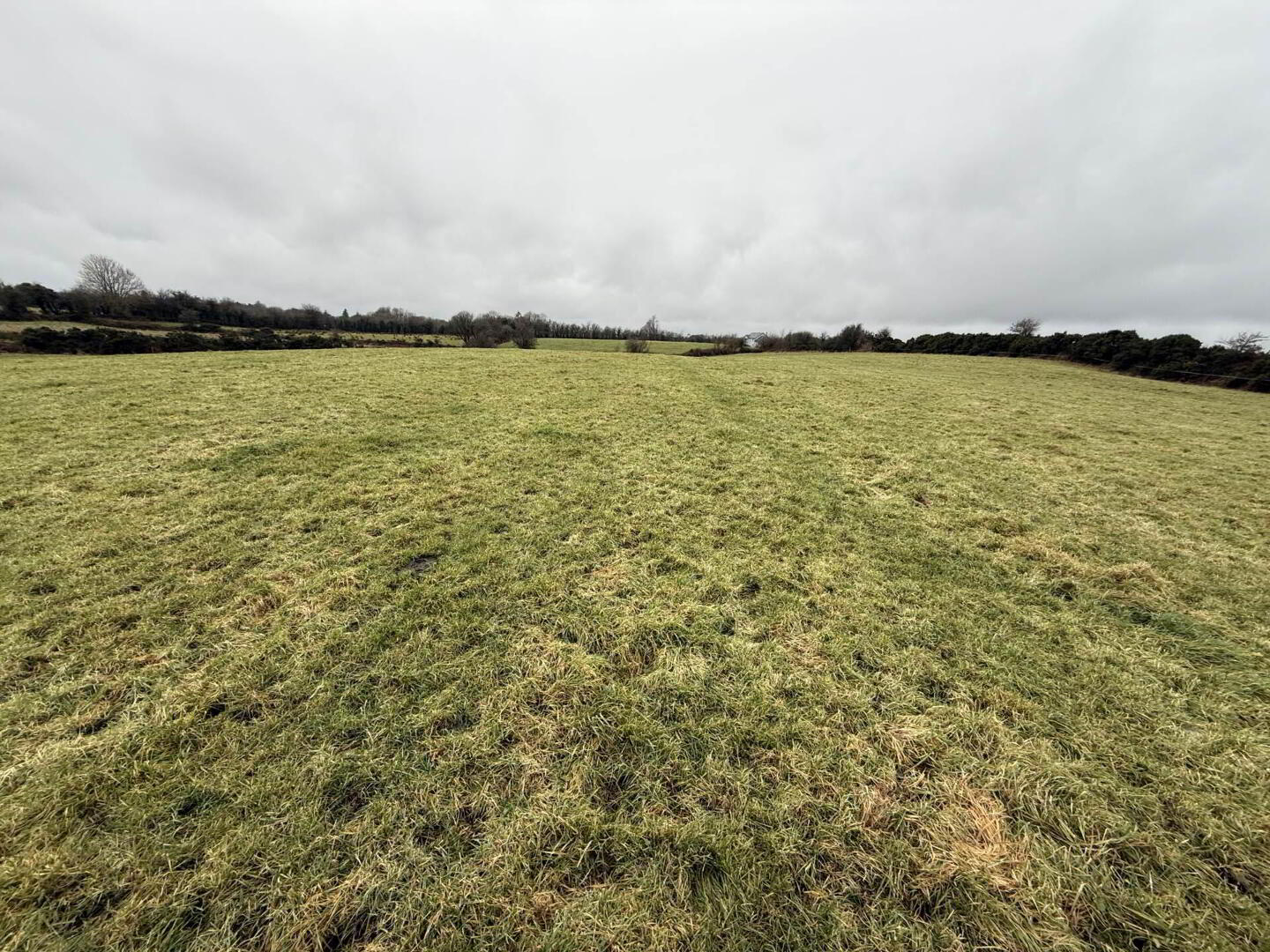 property description image