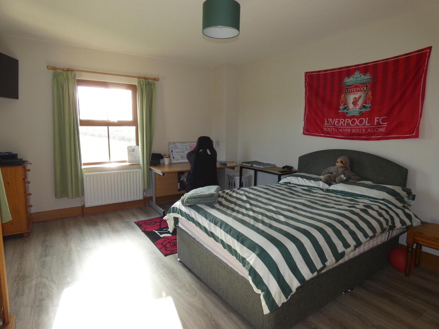 55 Drumskea Road 28 of 45