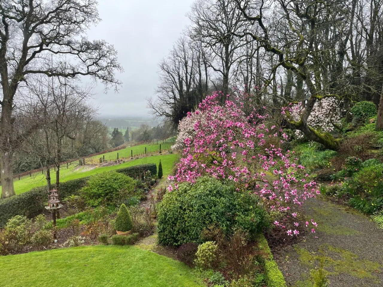 Flowerhill House, Ballyduff 42 of 49