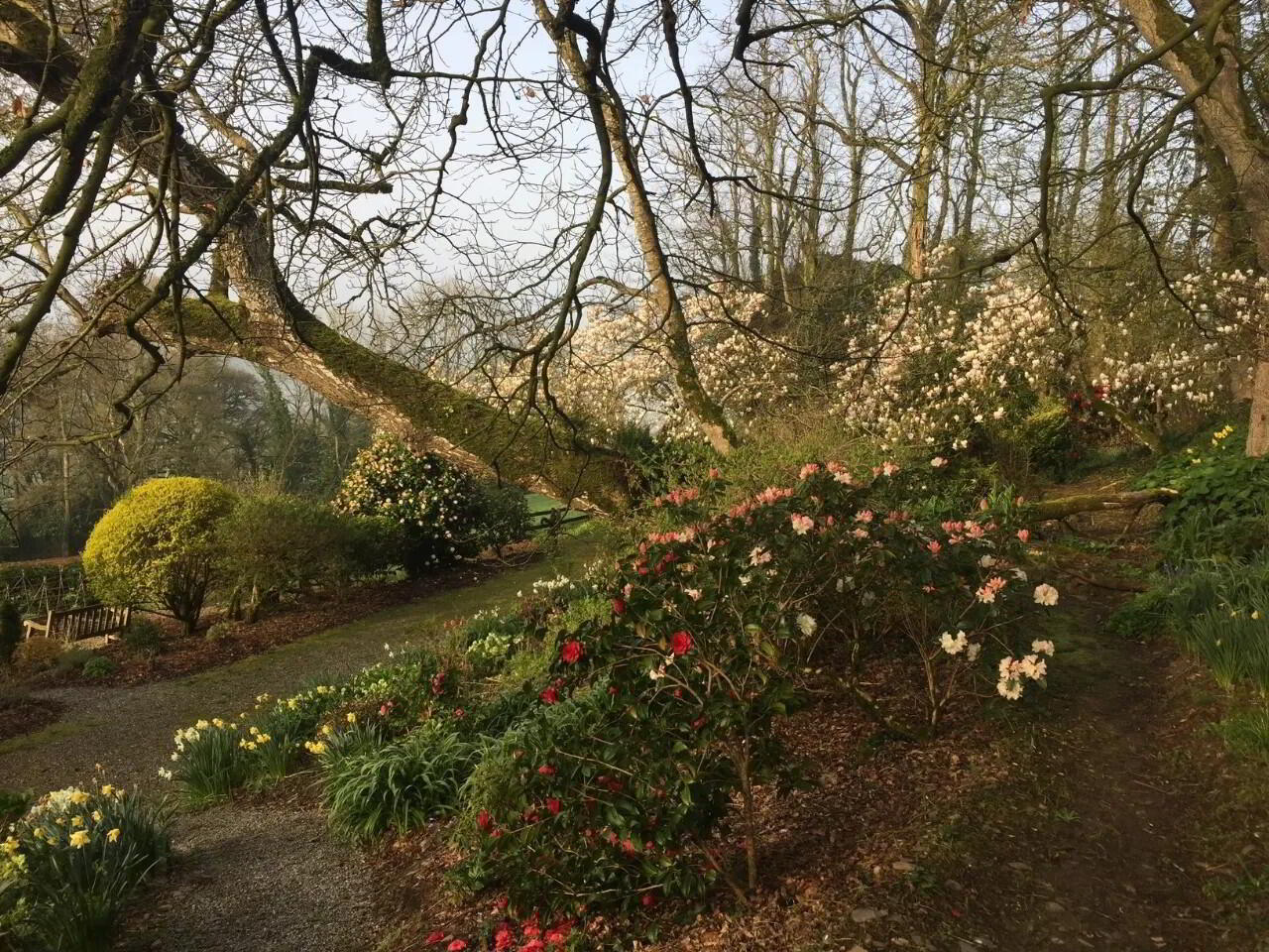 Flowerhill House, Ballyduff 40 of 49