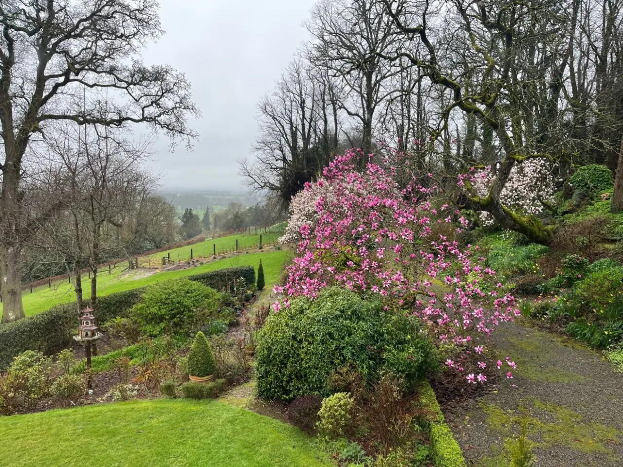 Flowerhill House, Ballyduff 42 of 49