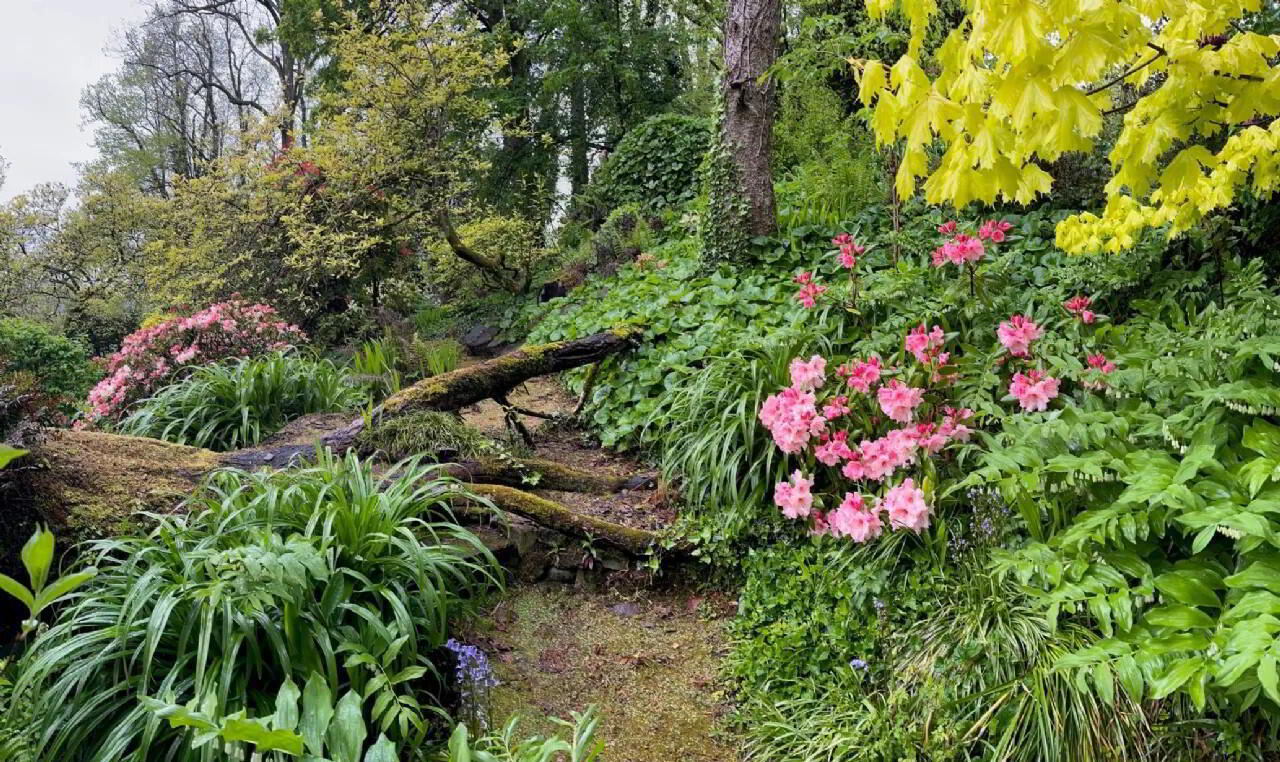 Flowerhill House, Ballyduff 45 of 49