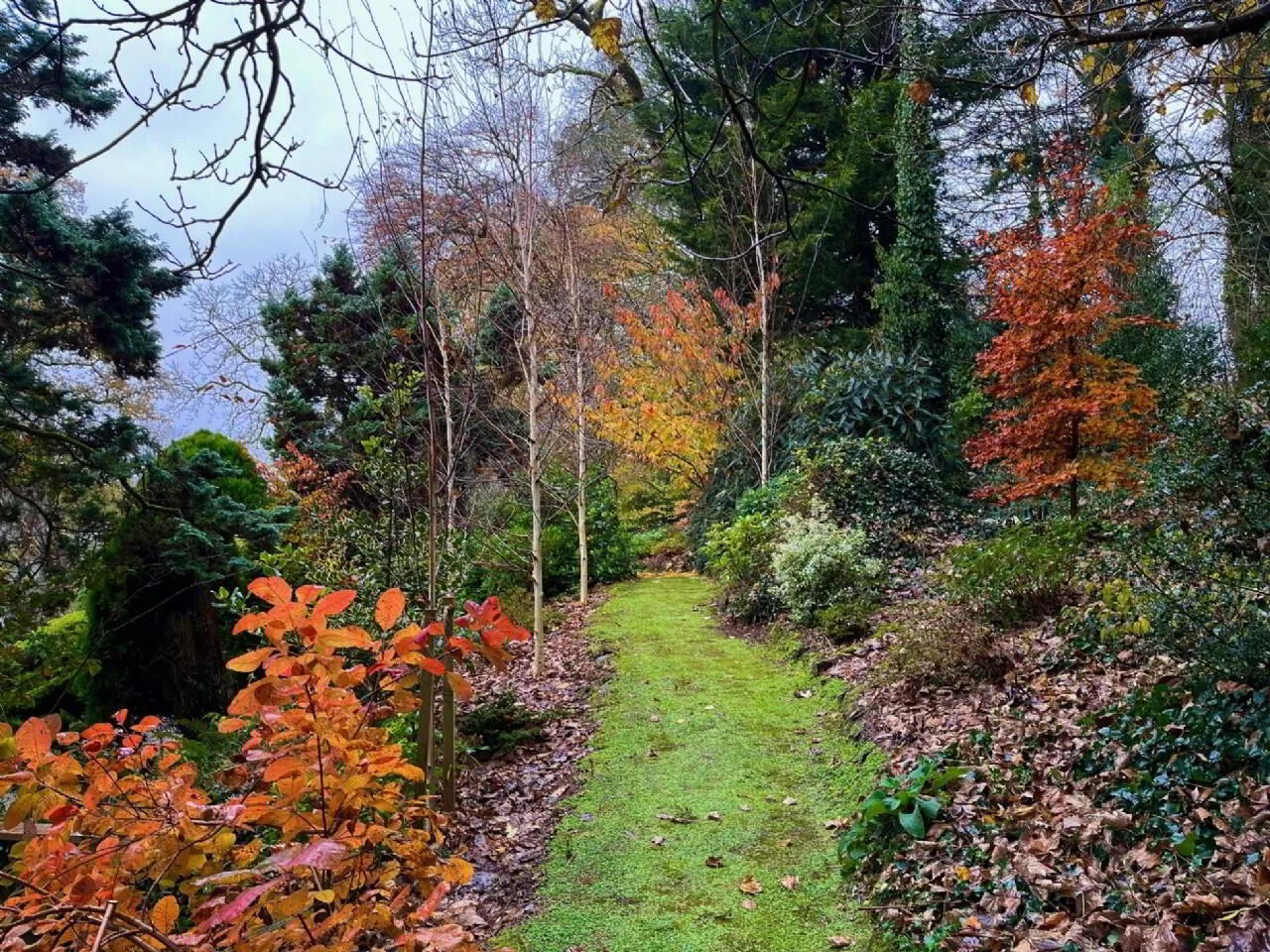 Flowerhill House, Ballyduff 44 of 49