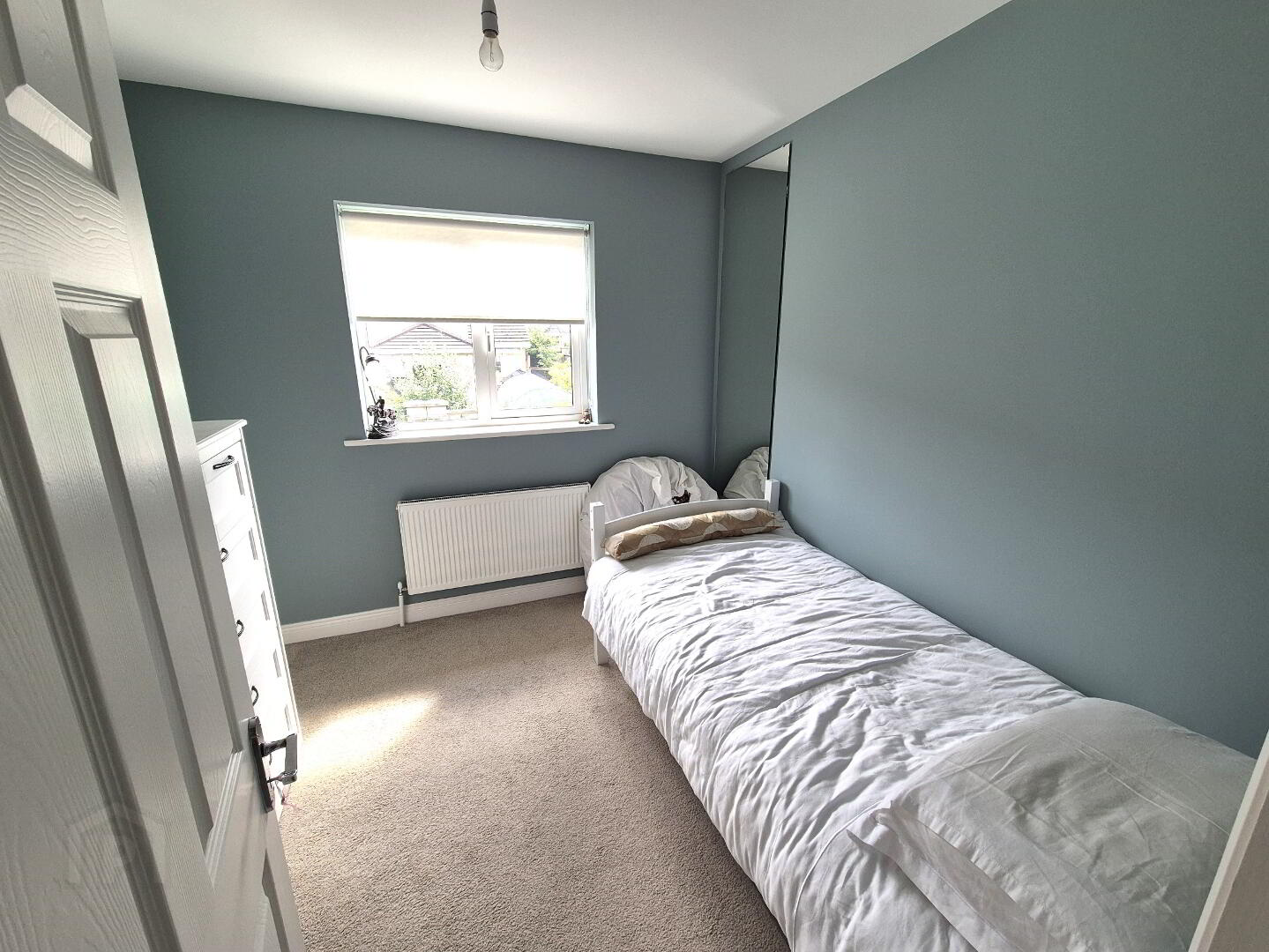 46 Browneshill Wood 11 of 21