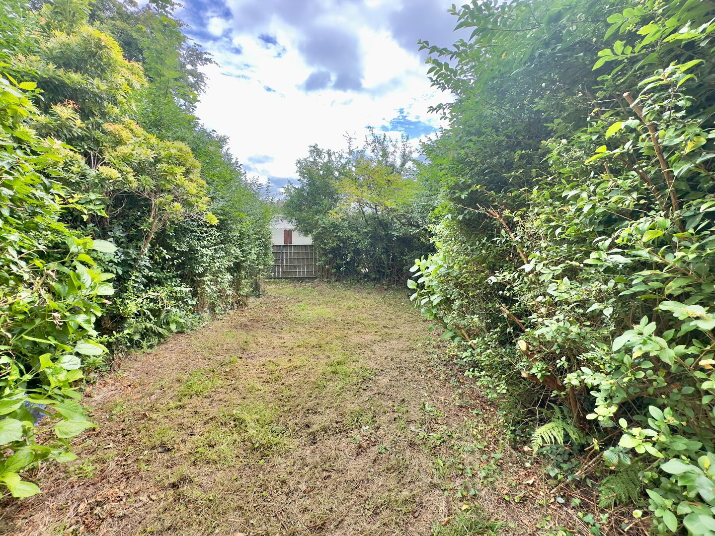23 Wolfe Tone Place 13 of 21
