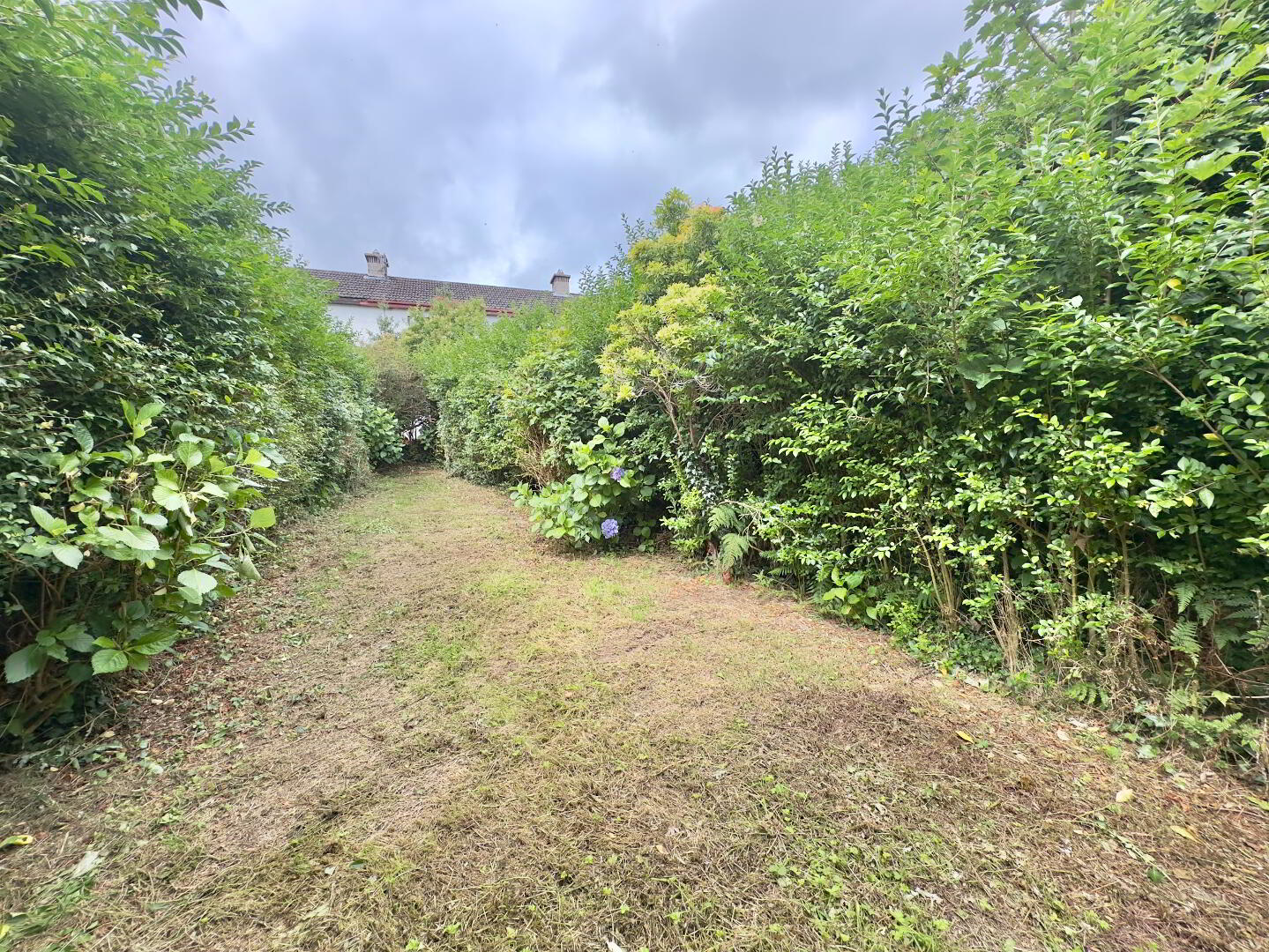 23 Wolfe Tone Place 17 of 21