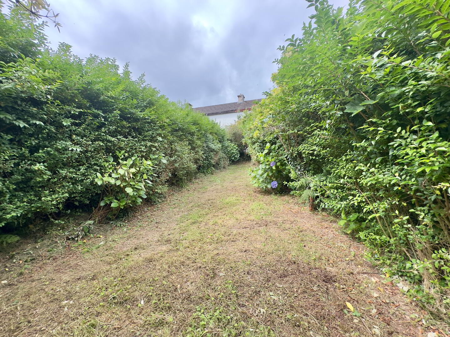 23 Wolfe Tone Place 18 of 21