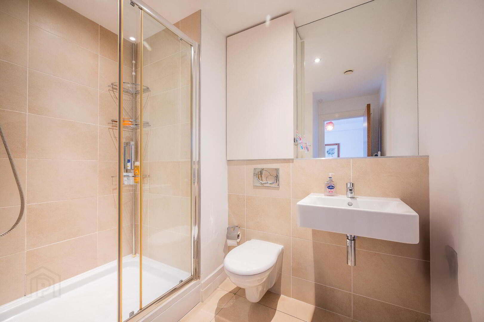 Apt 41 James Clow, 11 Princes Dock Street 15 of 19