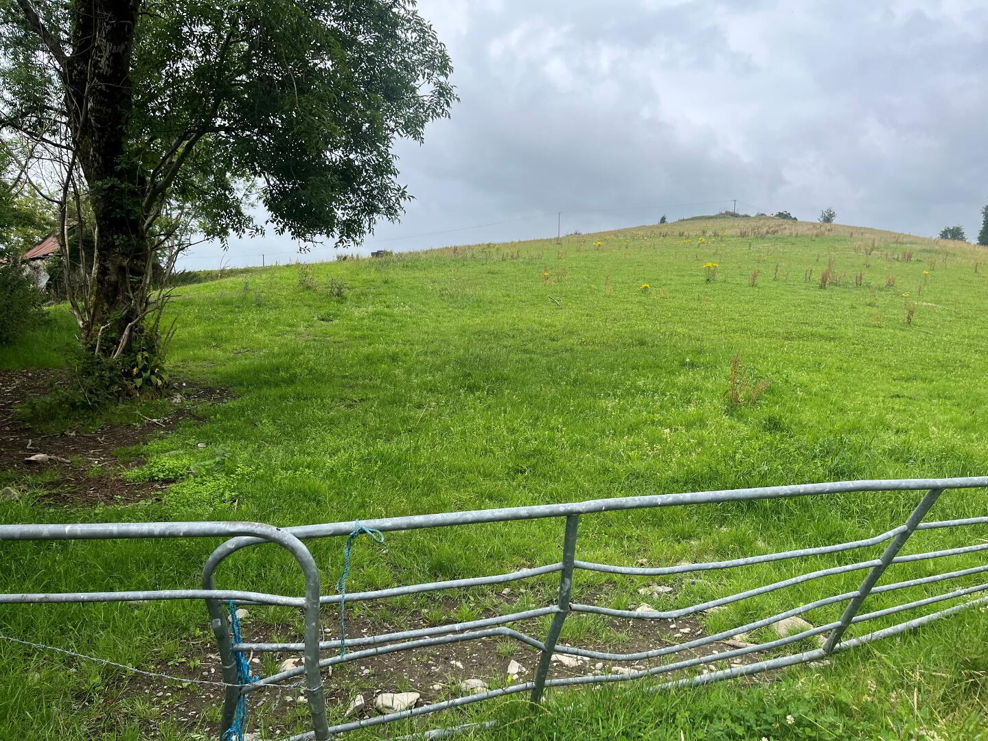 Derelict Cottage On 8 Acres, Raferagh 6 of 7