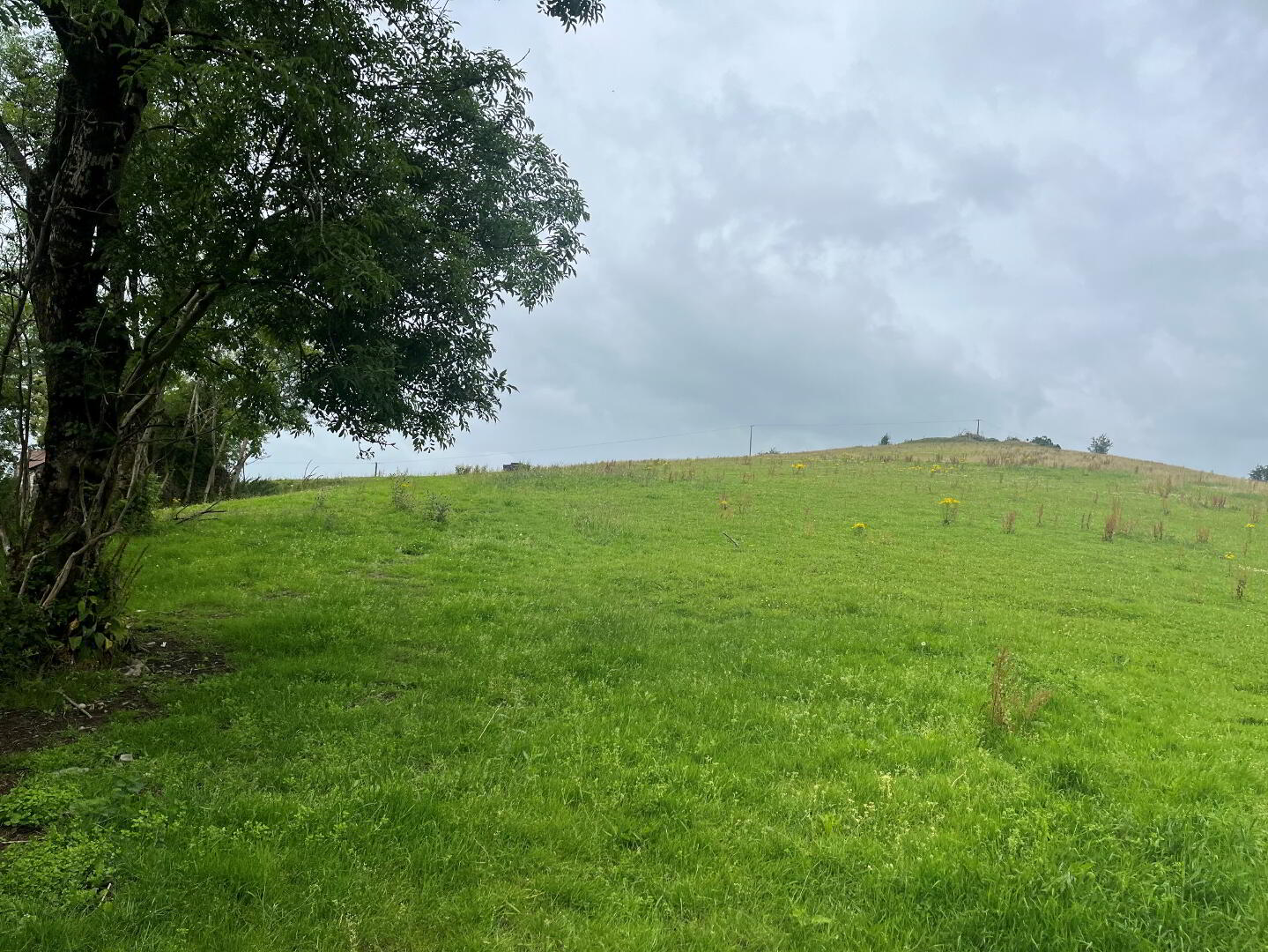 Derelict Cottage On 8 Acres, Raferagh 5 of 7