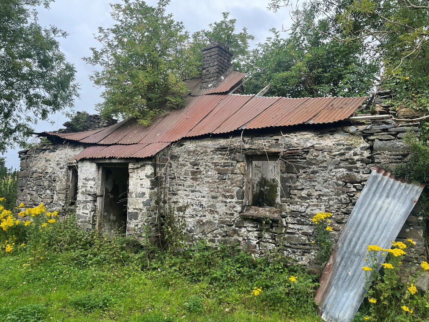 property description image