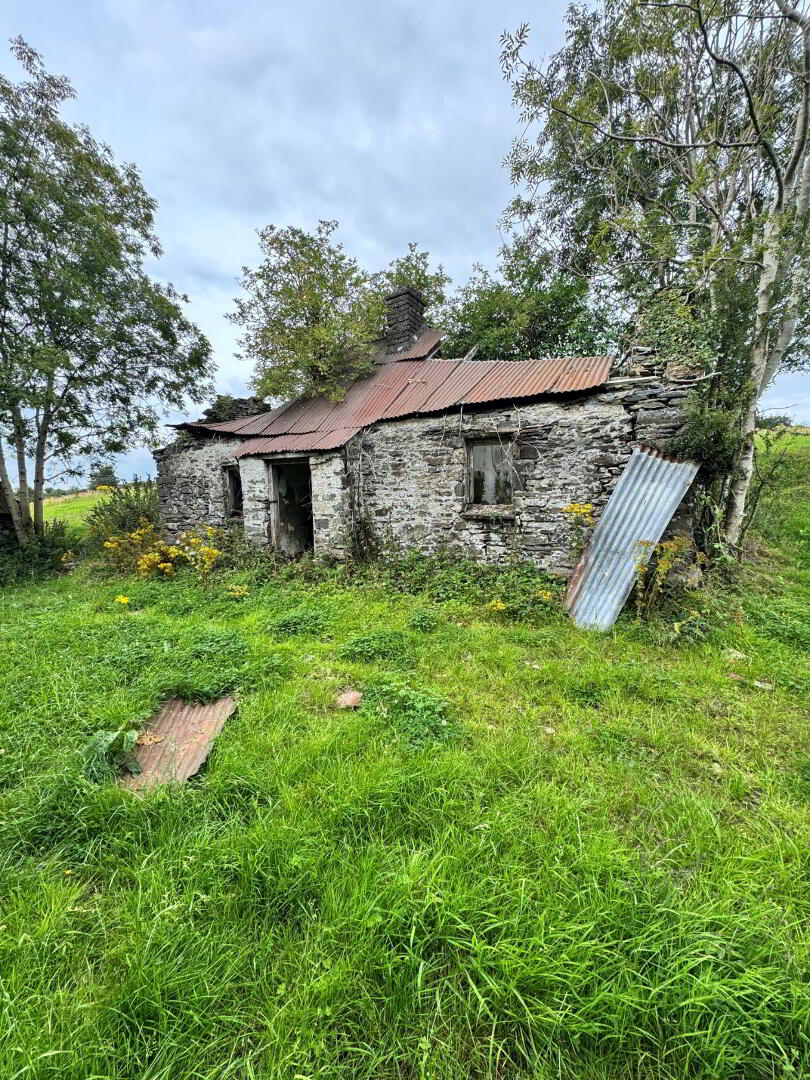 Derelict Cottage On 8 Acres, Raferagh 3 of 11