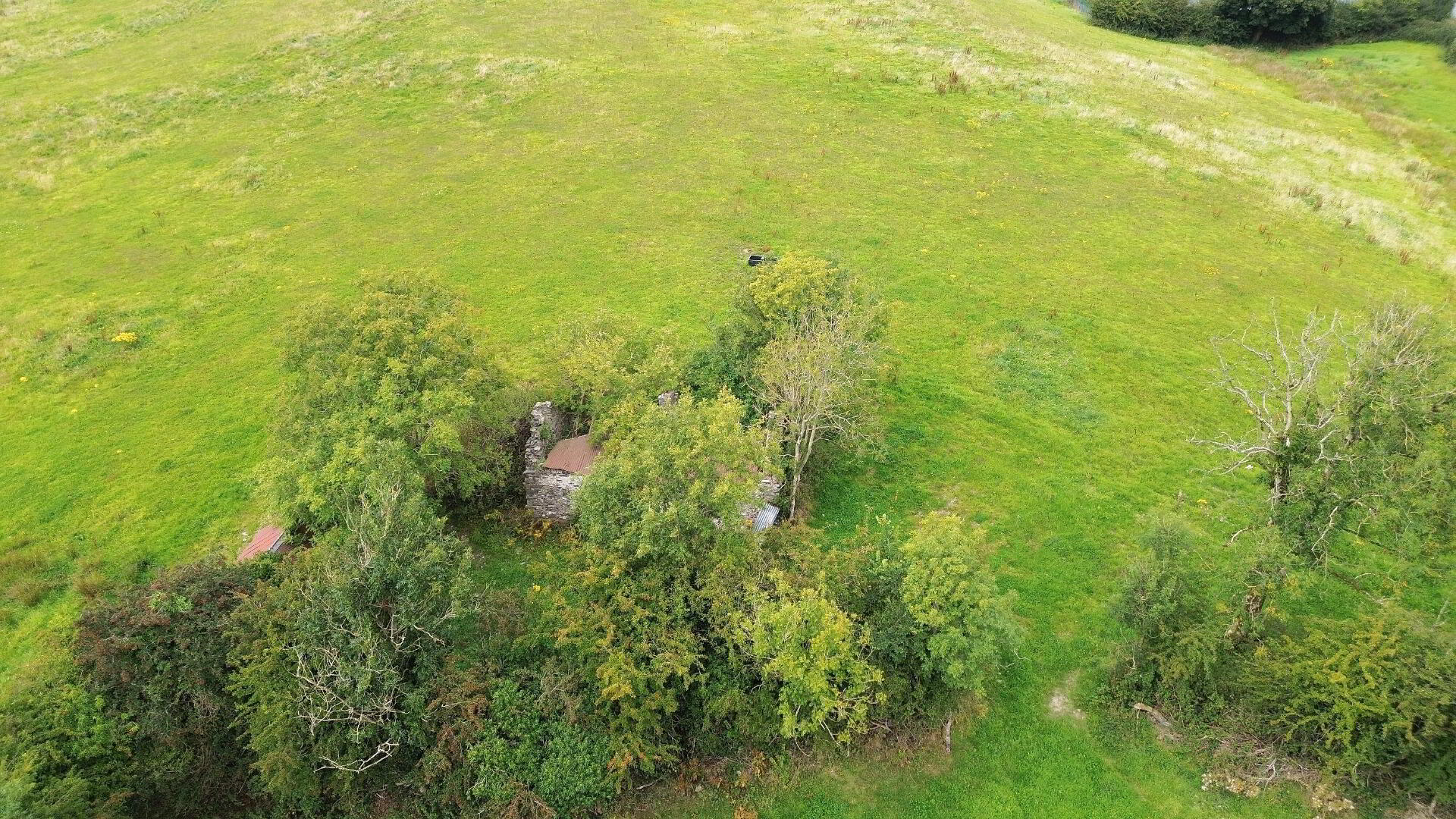 Derelict Cottage On 8 Acres, Raferagh 7 of 11