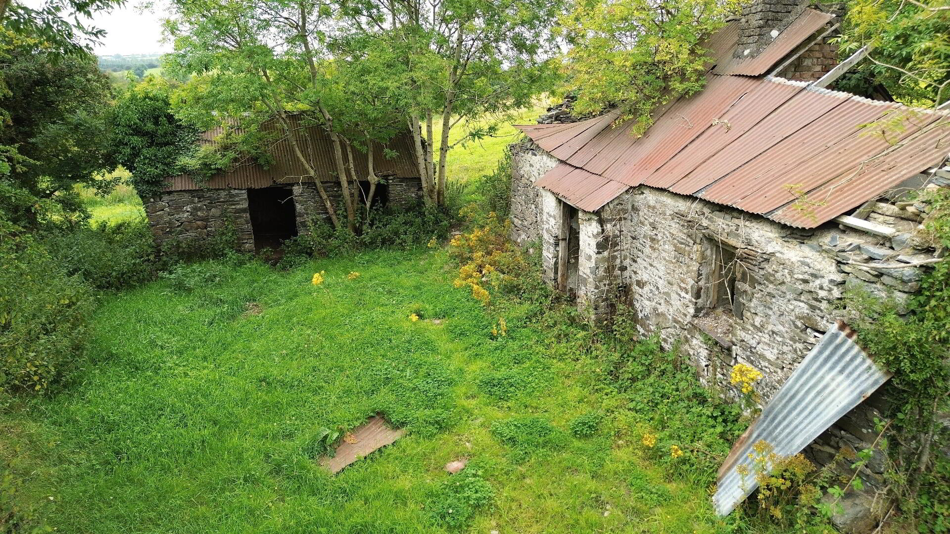 Derelict Cottage On 8 Acres, Raferagh 4 of 11