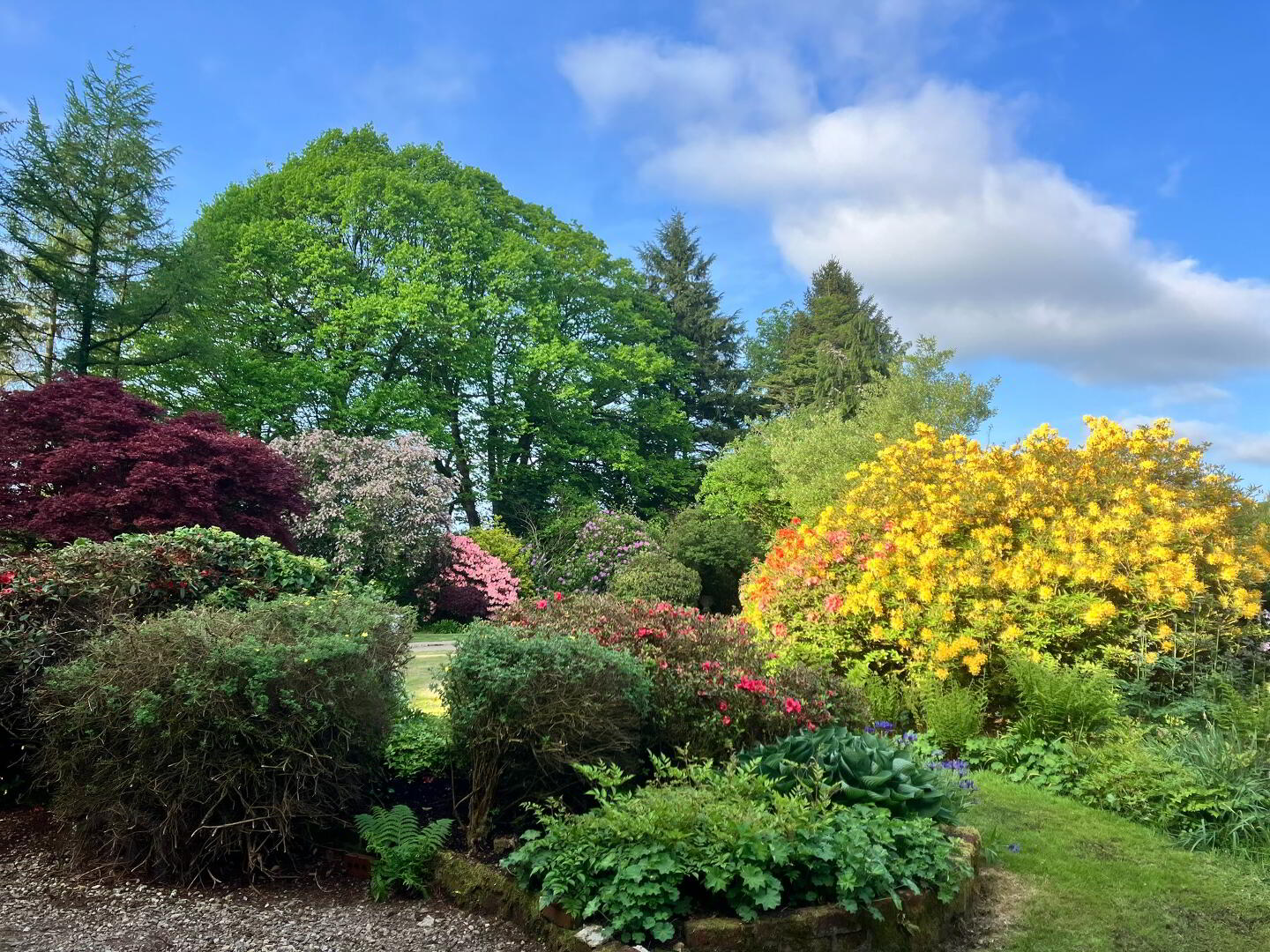 The Old Manse, 56 Moyle Road 39 of 44
