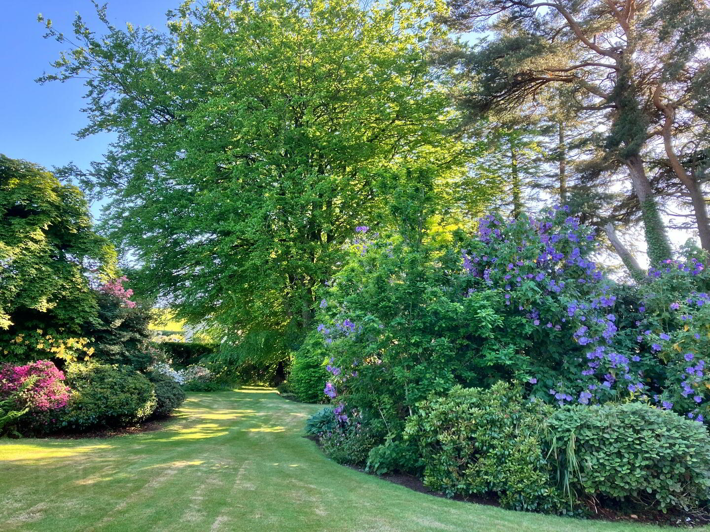 The Old Manse, 56 Moyle Road 40 of 44