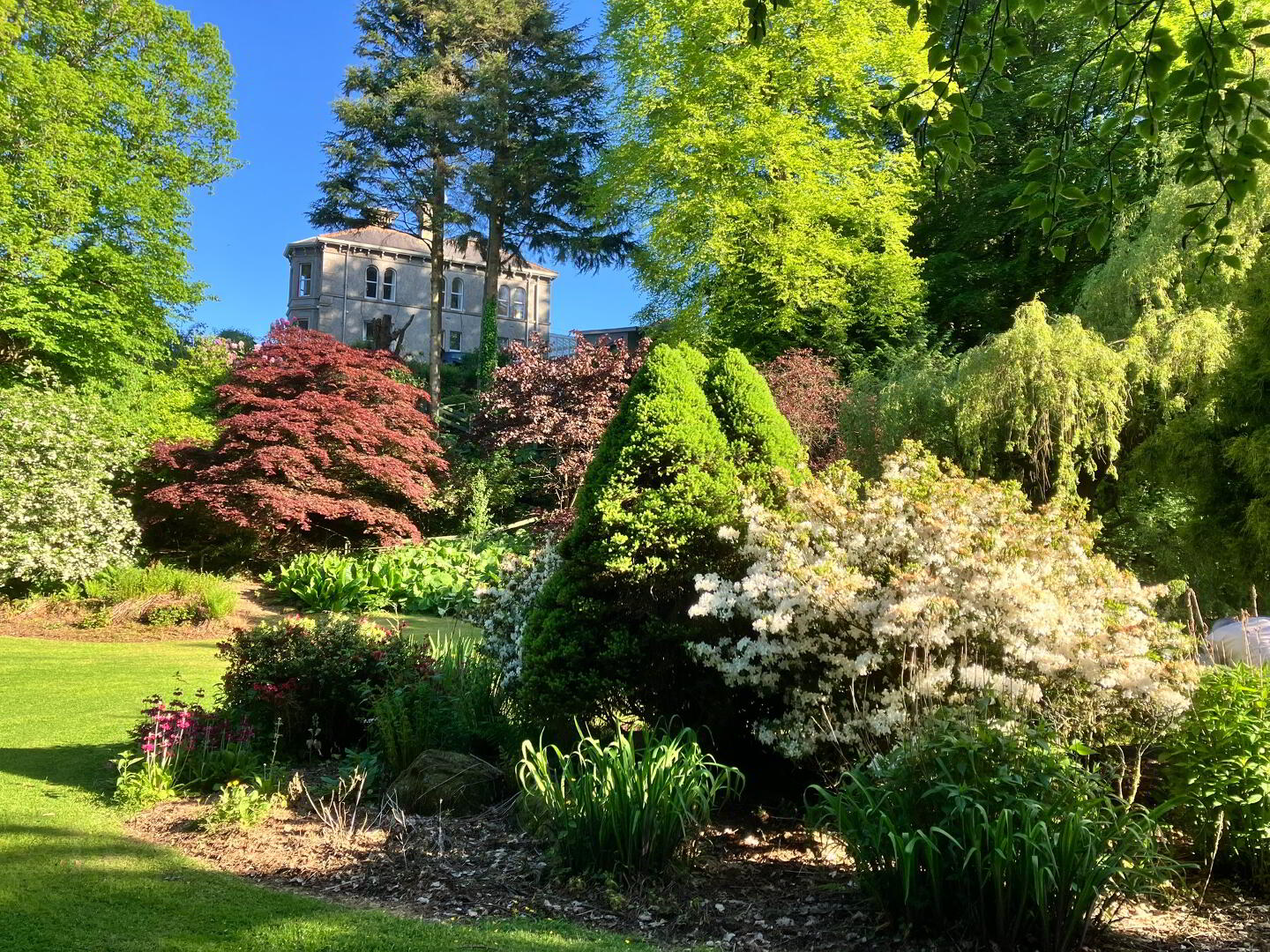 The Old Manse, 56 Moyle Road 41 of 44