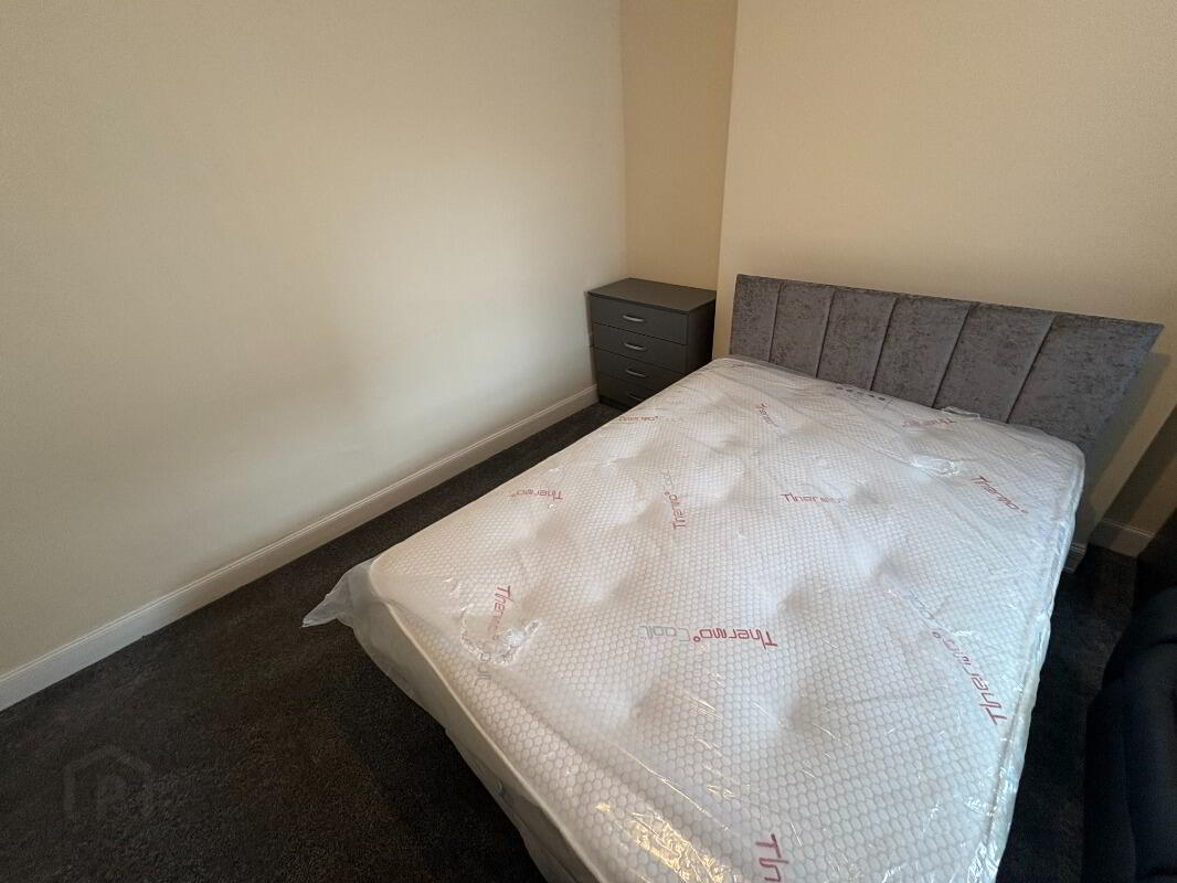 Apt 3, 112 Eglantine Avenue 4 of 10