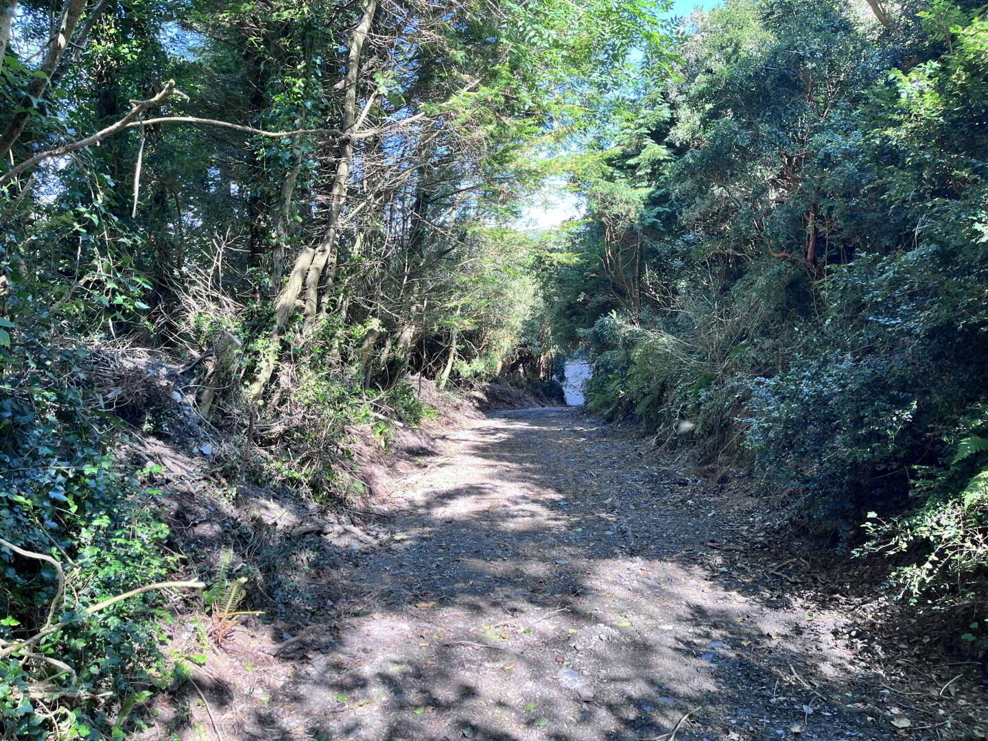 Ardagh West 3 of 12