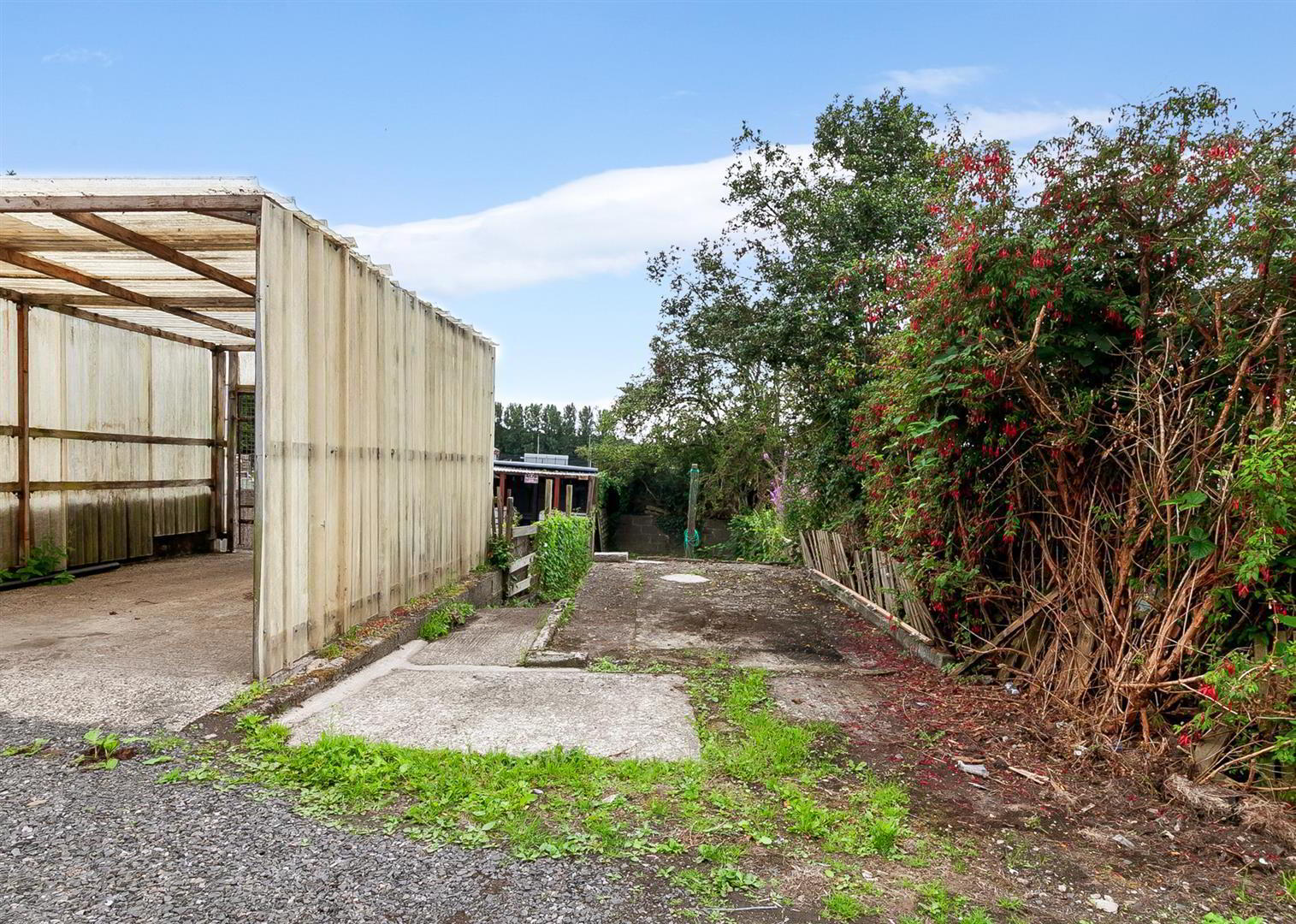 49 Doagh Road 18 of 18