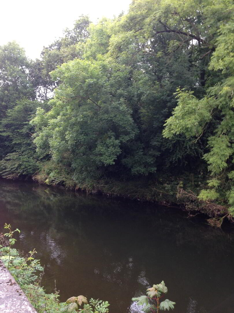 Alexandra Park 21 of 21
