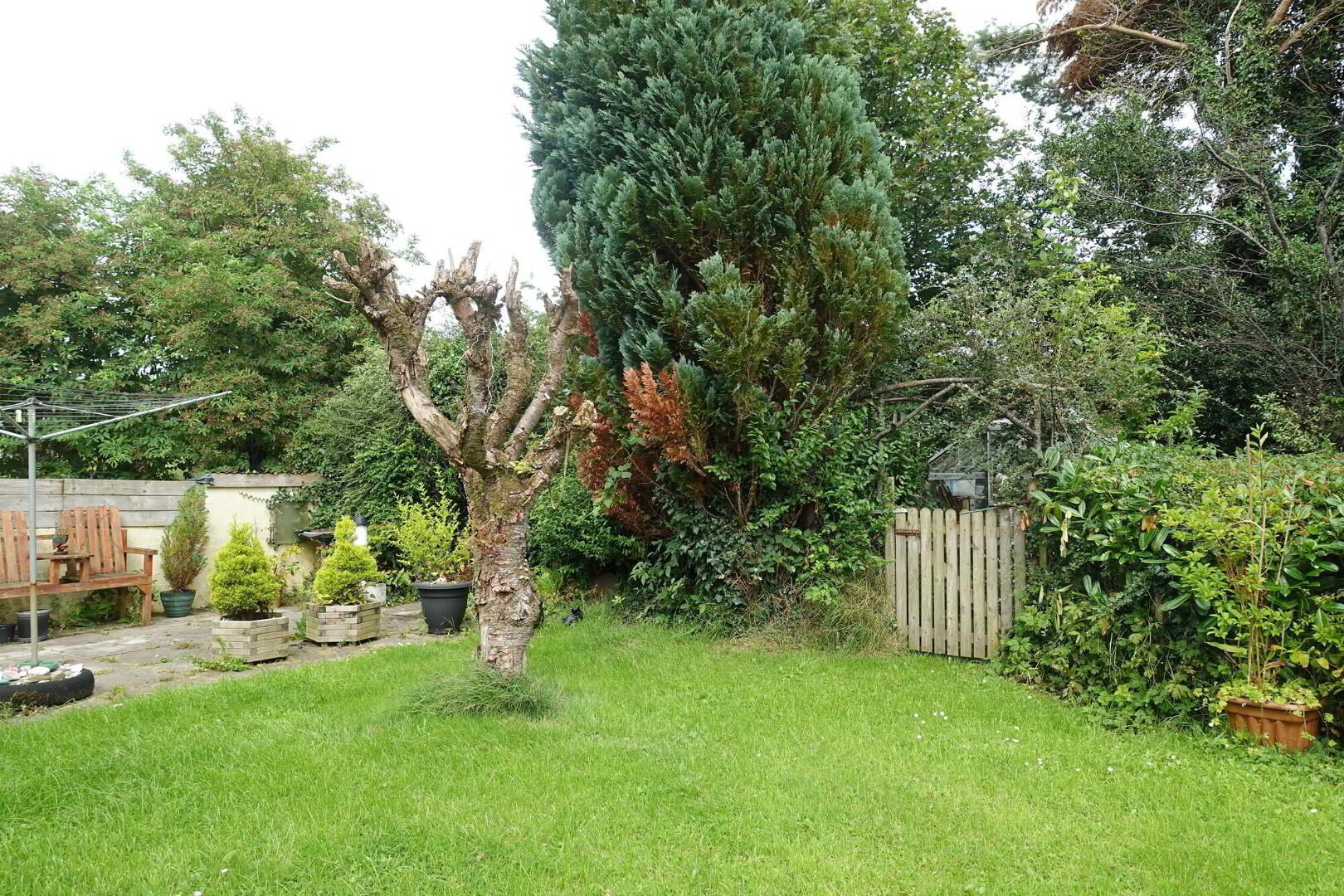 14 Crevenish Road 23 of 29