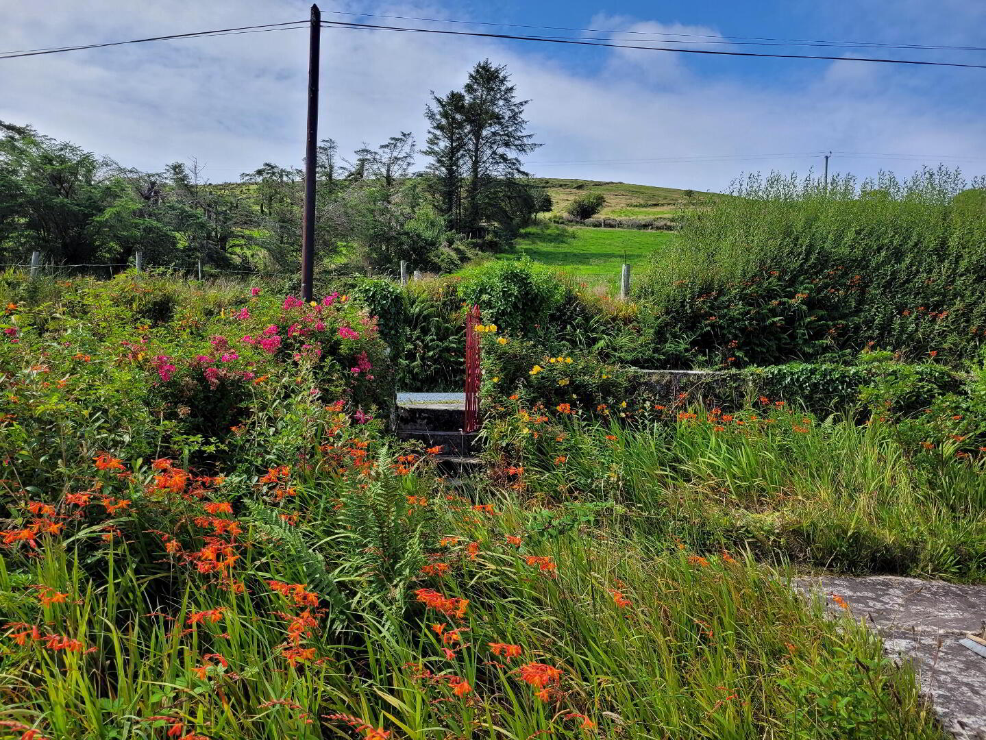 Kilmackerrin East Aughatubrid 5 of 24