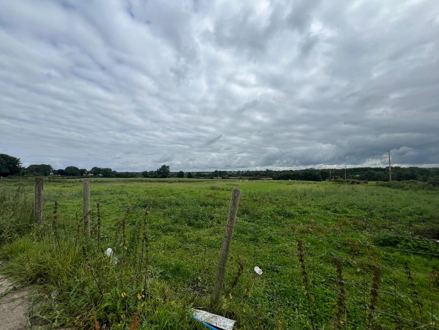 30m E Of 37 Drumiel Road 1 of 3