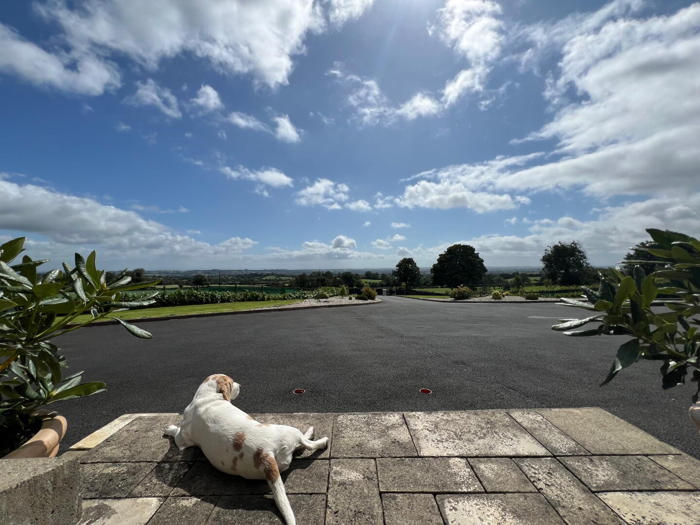 36b Dirnan Road 99 of 99
