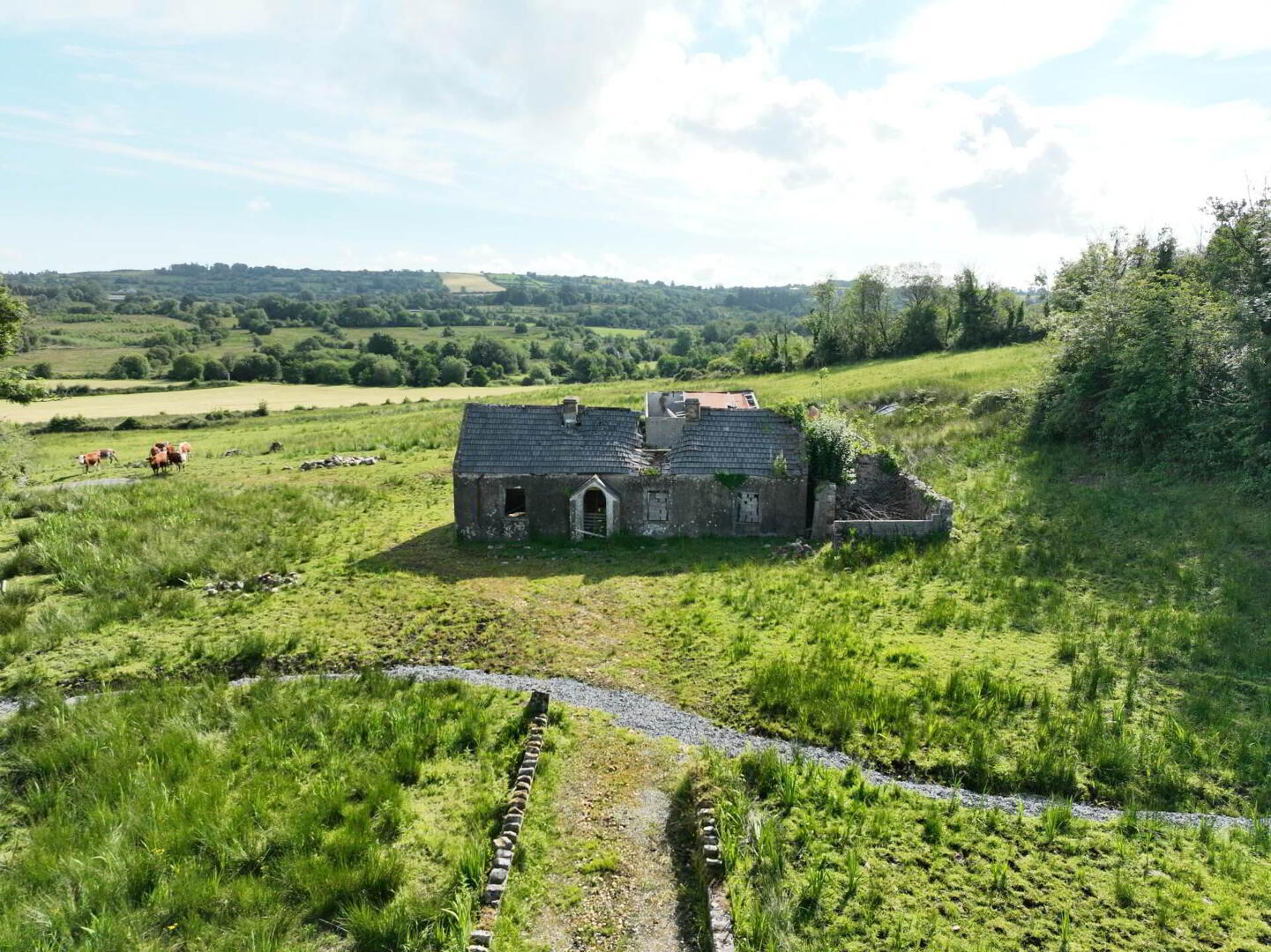 Gubmanus Road 3 of 16