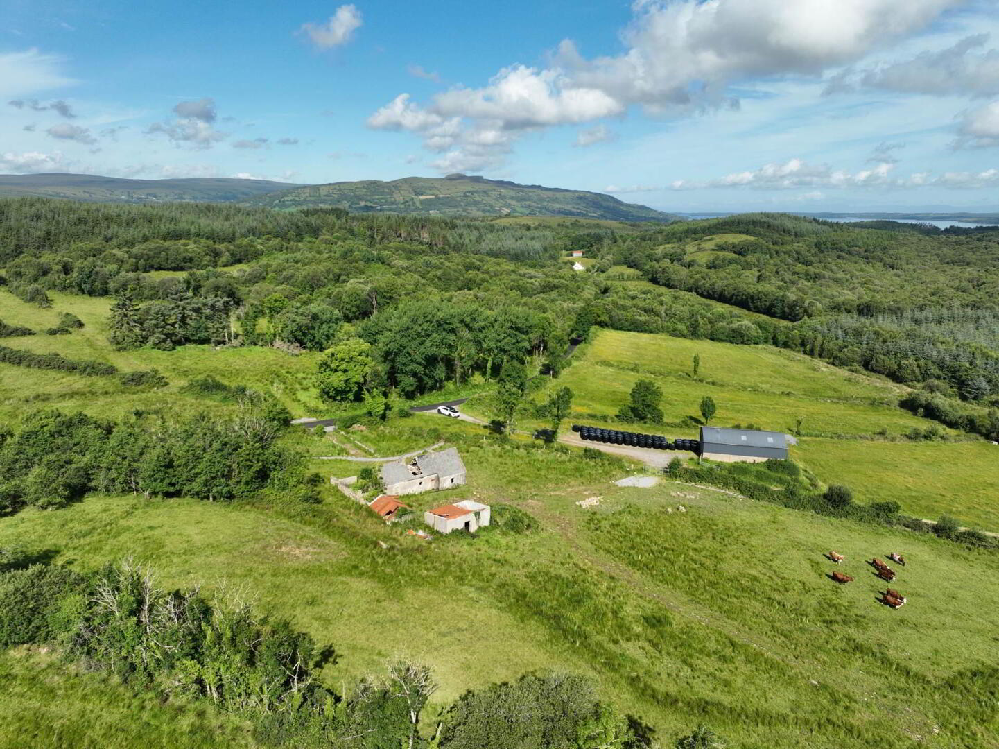 Gubmanus Road 14 of 16