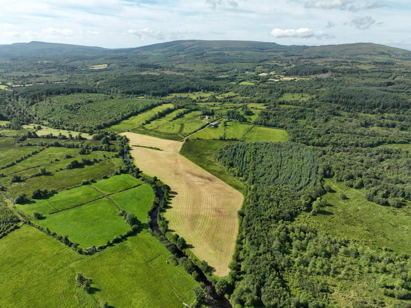 Gubmanus Road 7 of 31