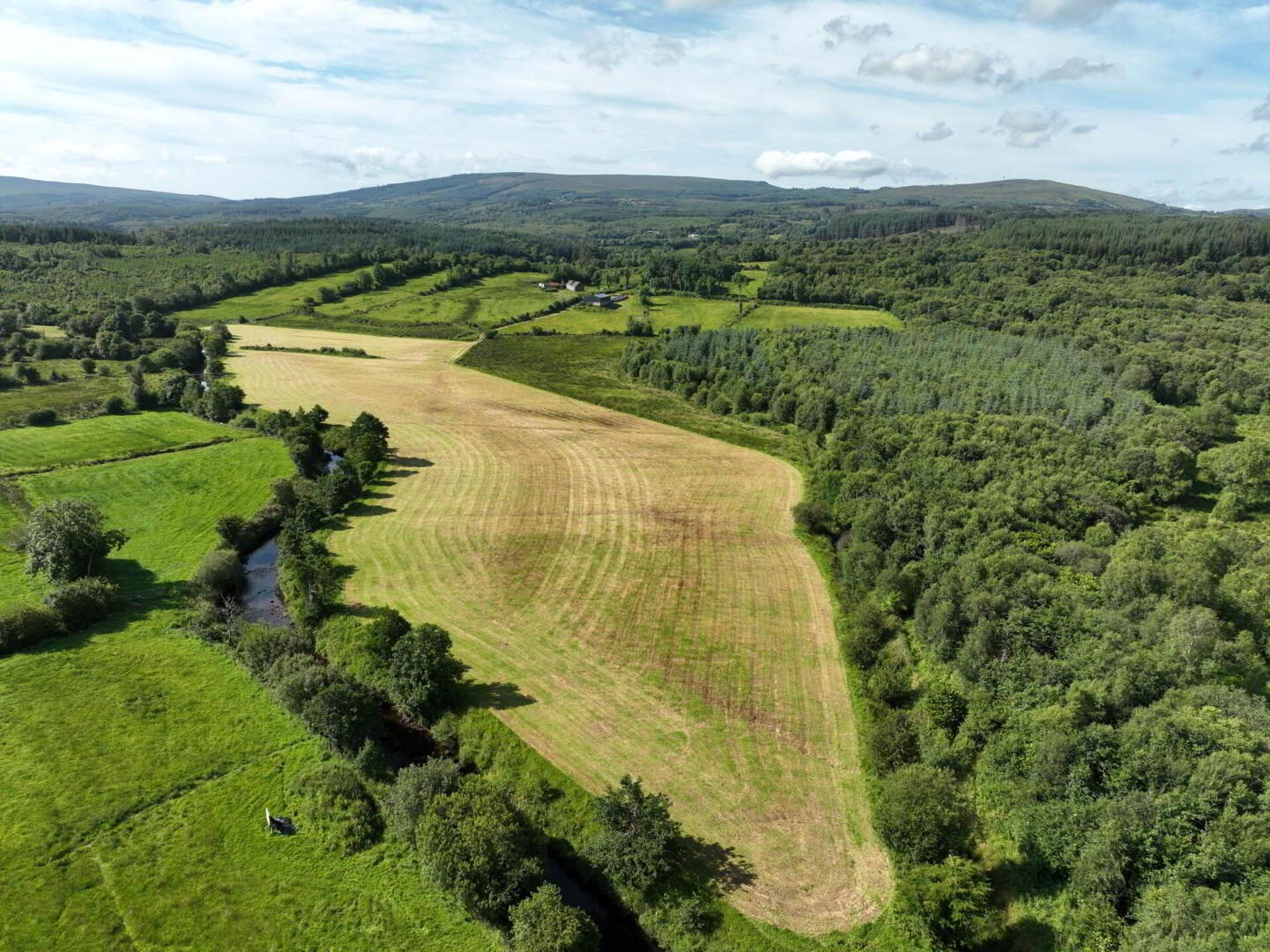 Gubmanus Road 8 of 31