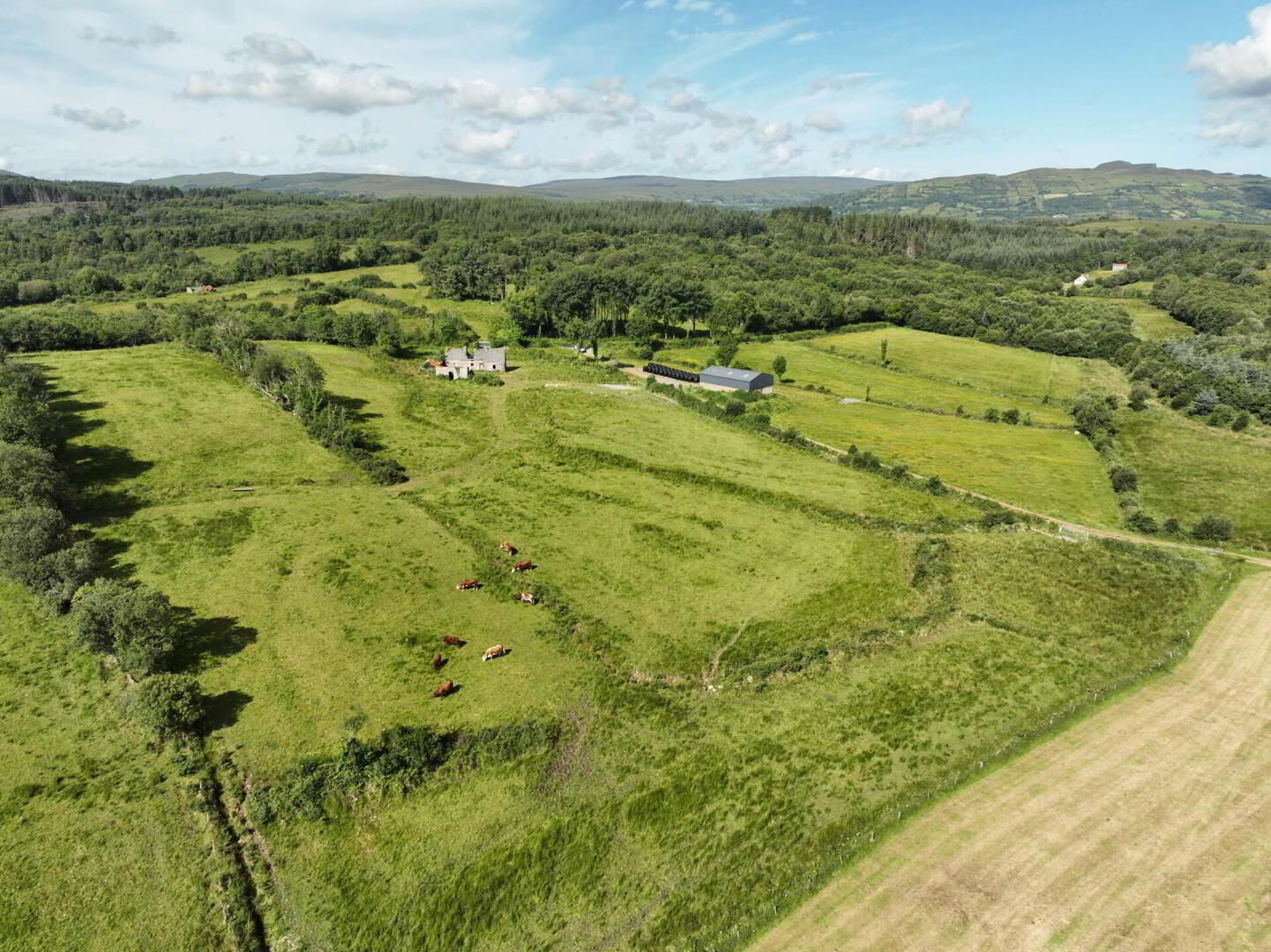 Gubmanus Road 13 of 31