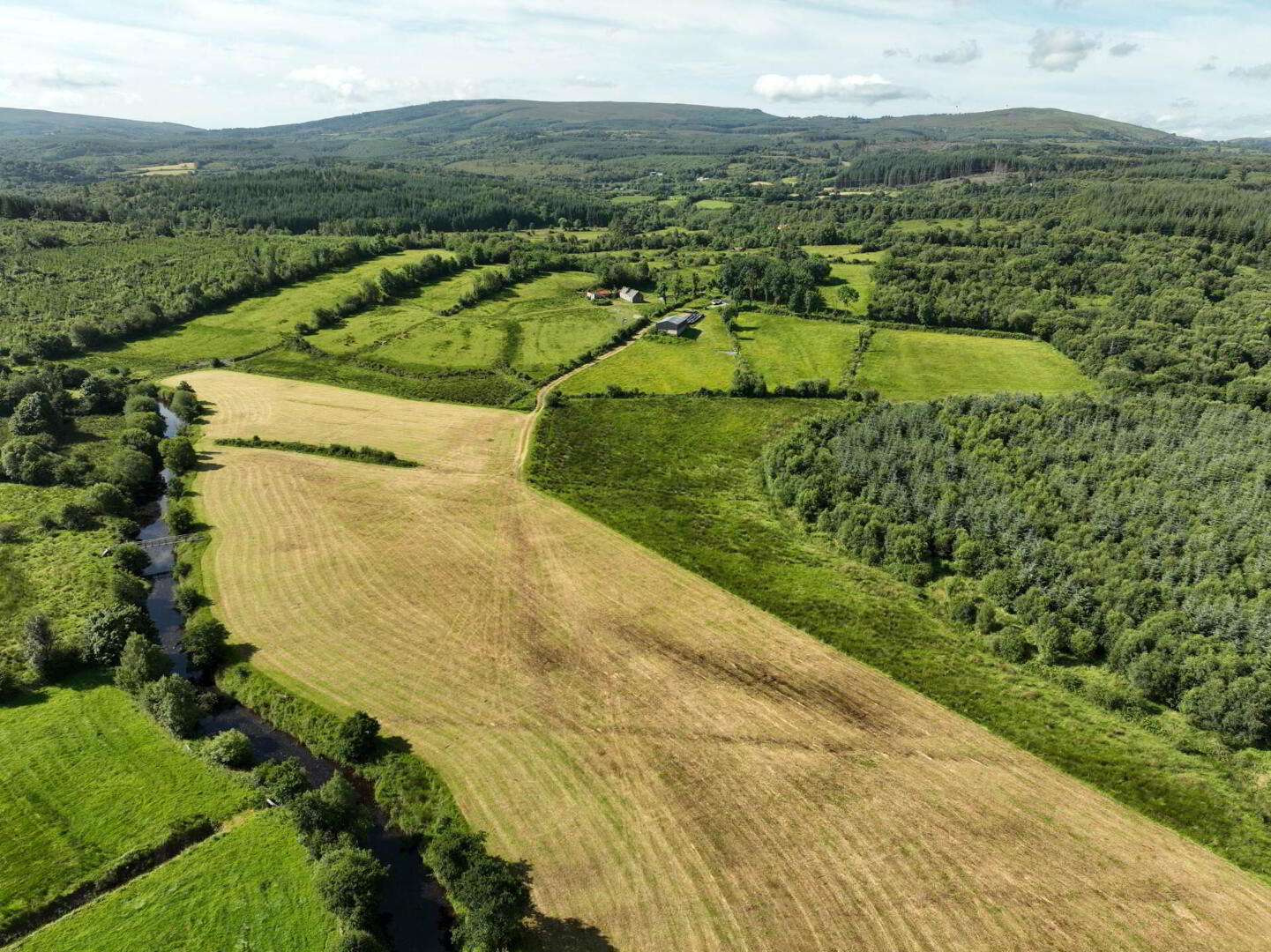 Gubmanus Road 10 of 31