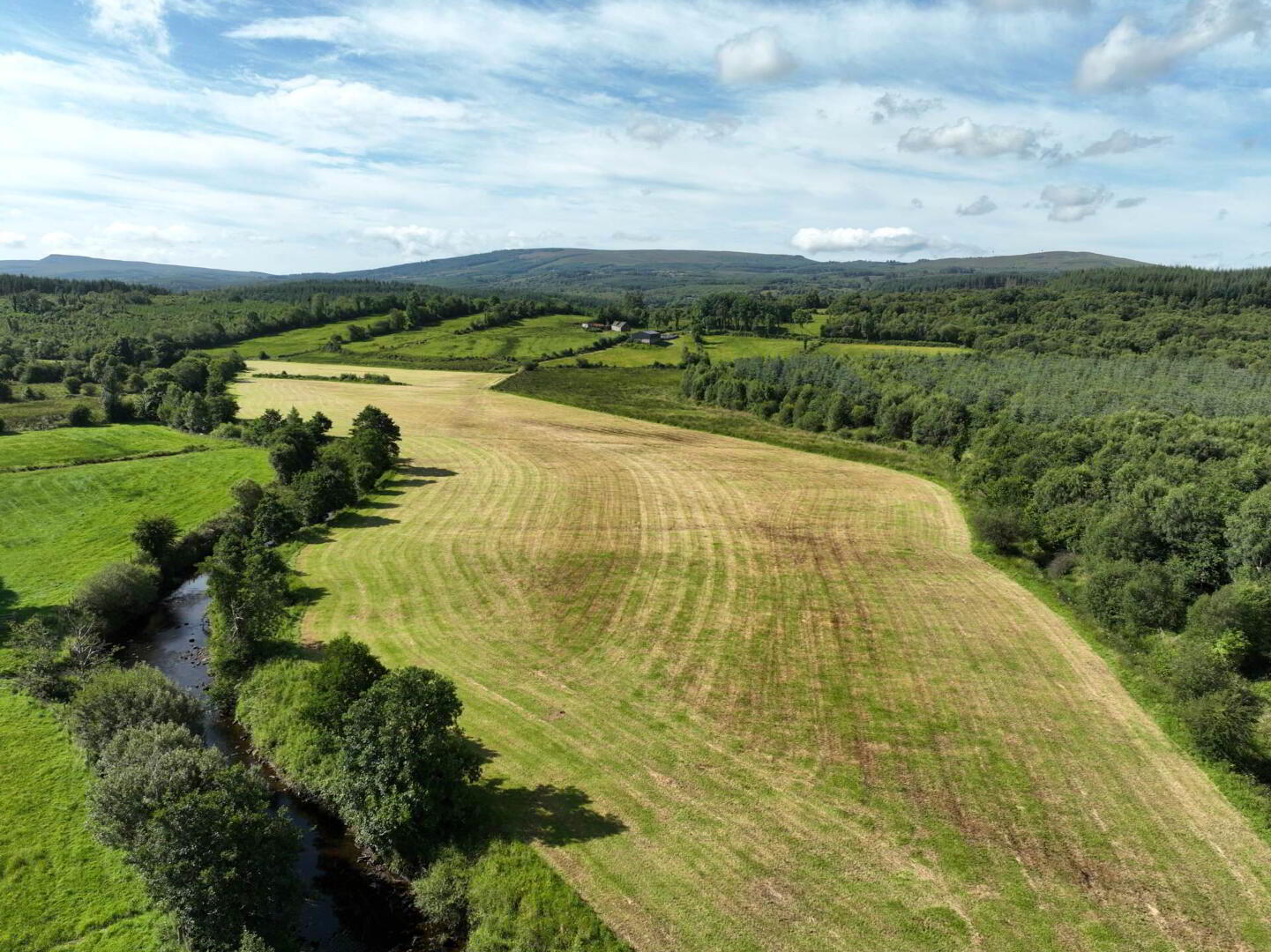 Gubmanus Road 9 of 31