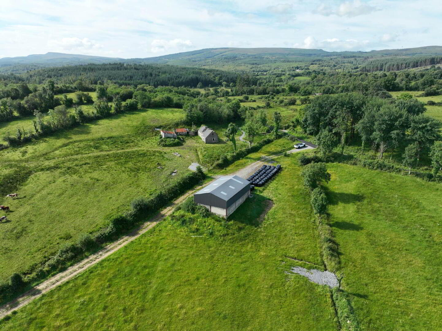 Gubmanus Road 14 of 31