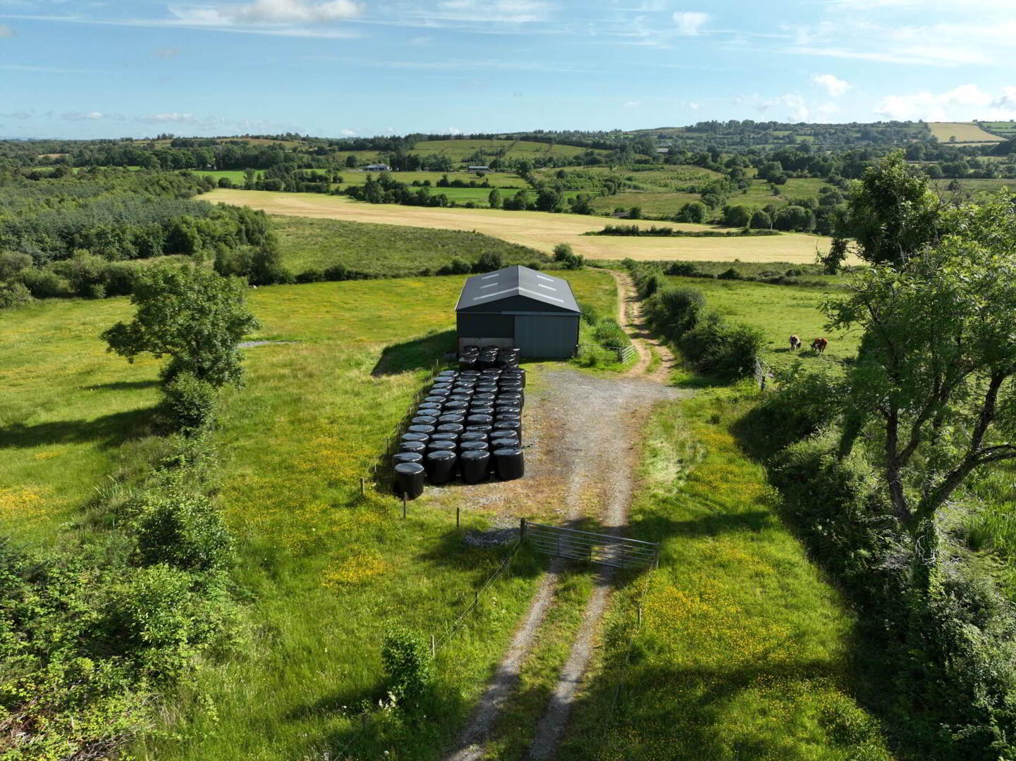 Gubmanus Road 16 of 31