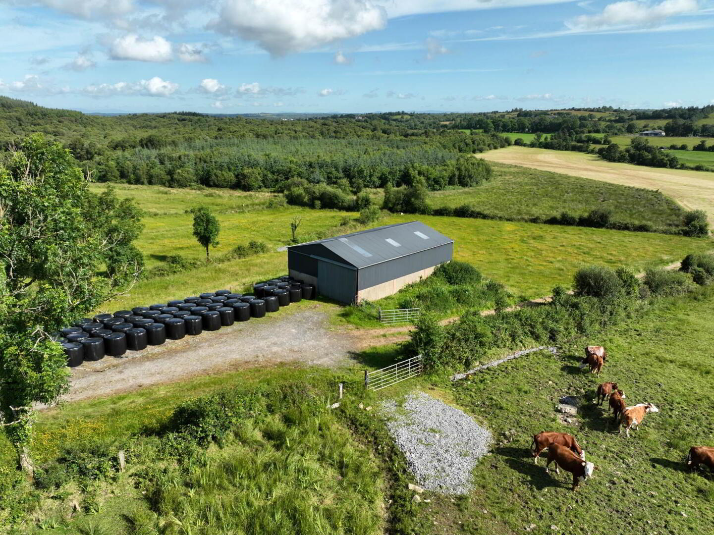 Gubmanus Road 20 of 31