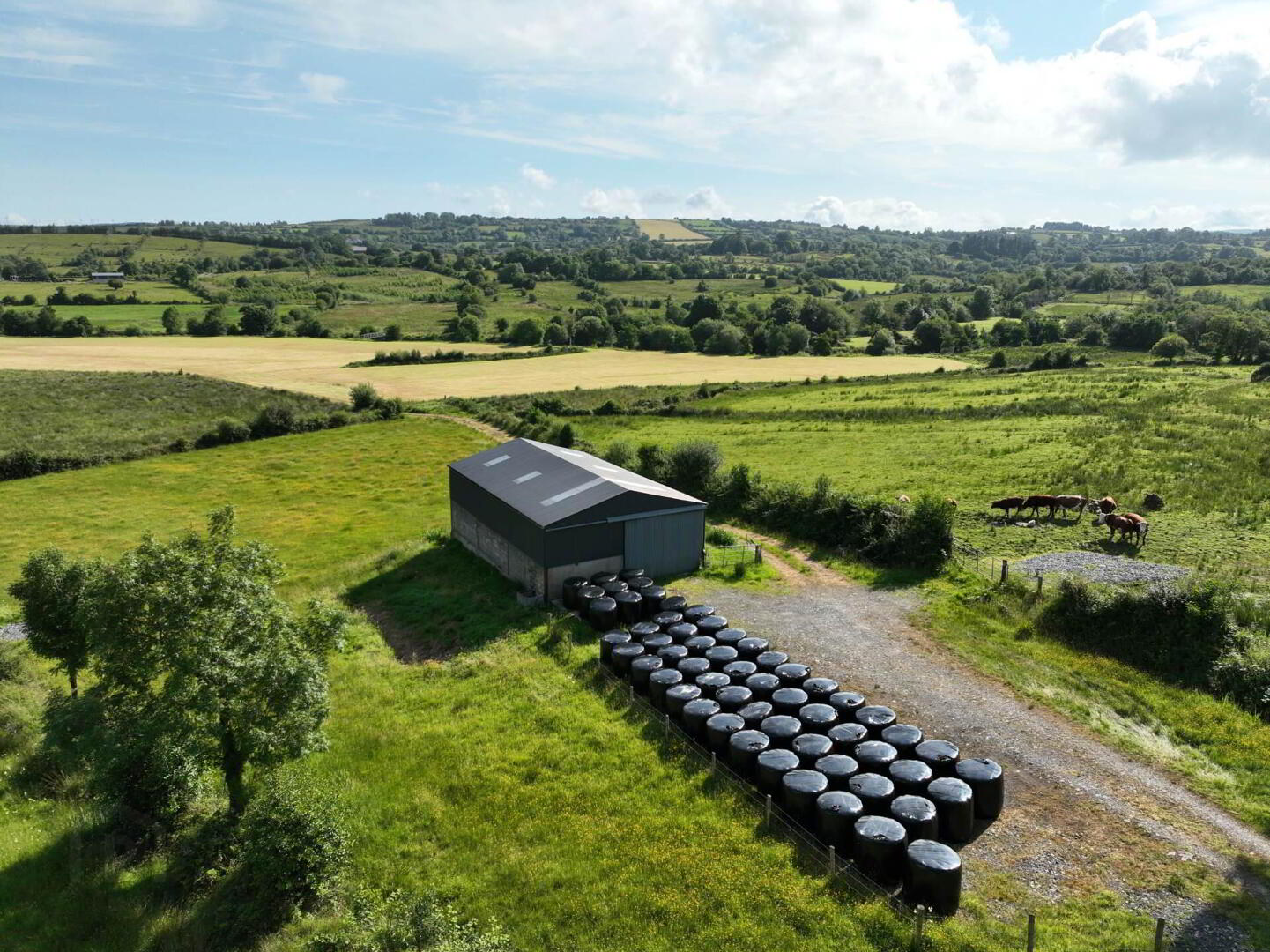 Gubmanus Road 17 of 31