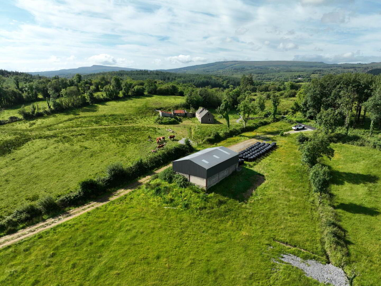 Gubmanus Road 22 of 31