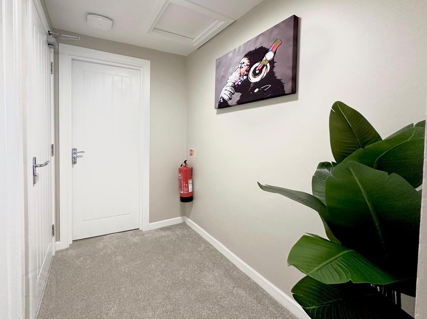 Room 4, 46 Portmore Street 19 of 22