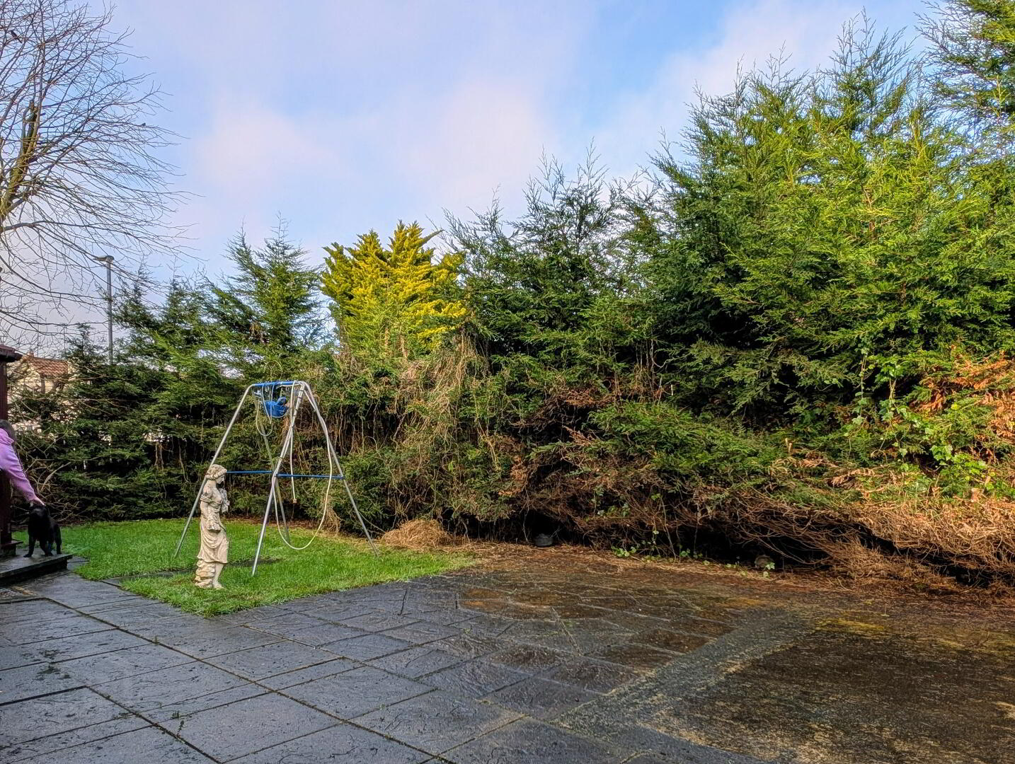 2 Castlehill Park 27 of 30