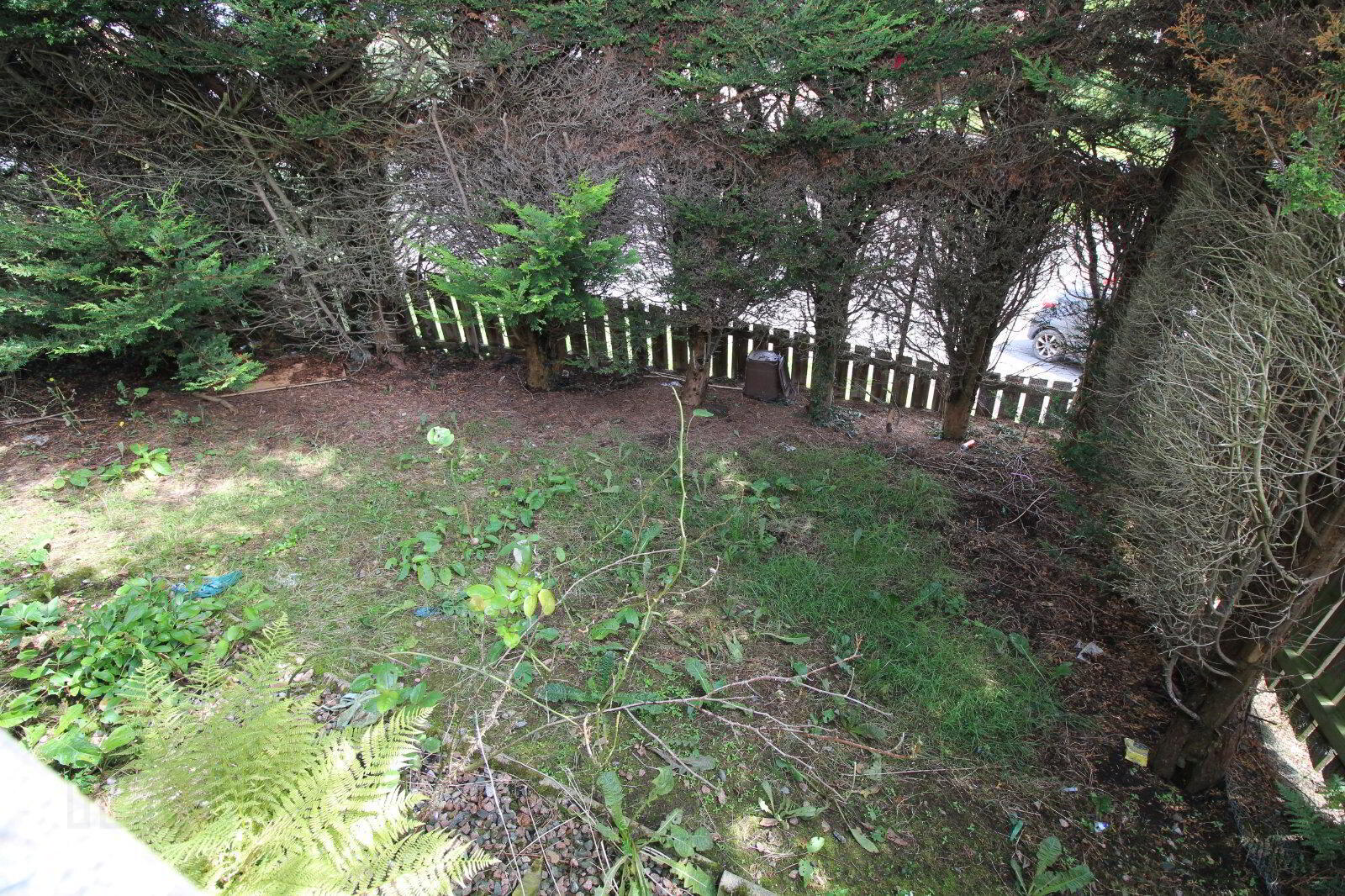 62 Culross Drive 4 of 5