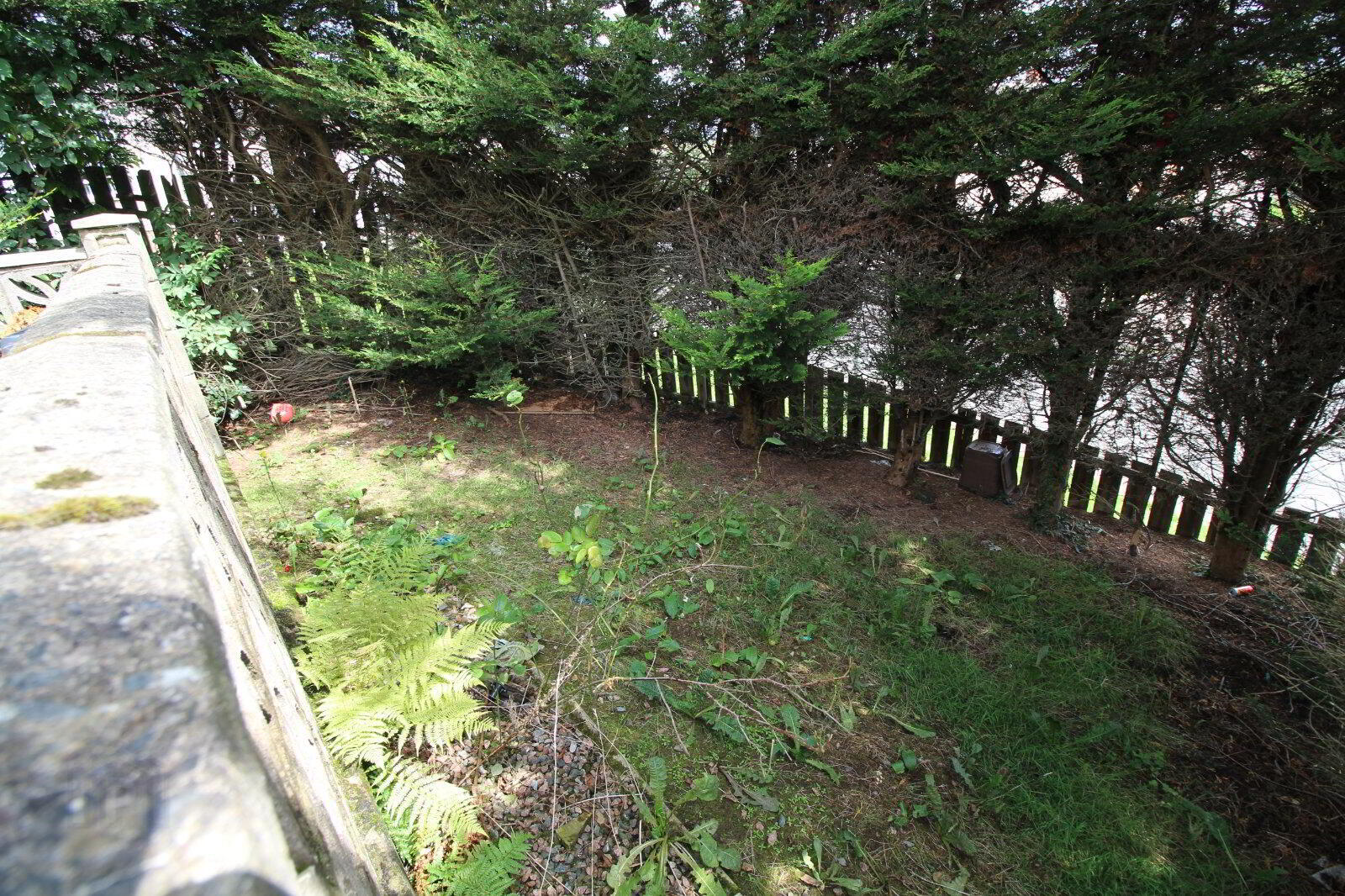 62 Culross Drive 5 of 5
