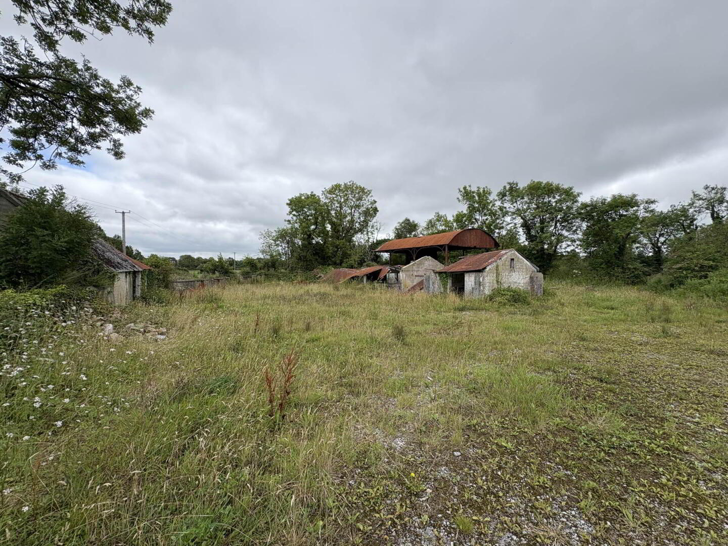 Gardenfield 4 of 5