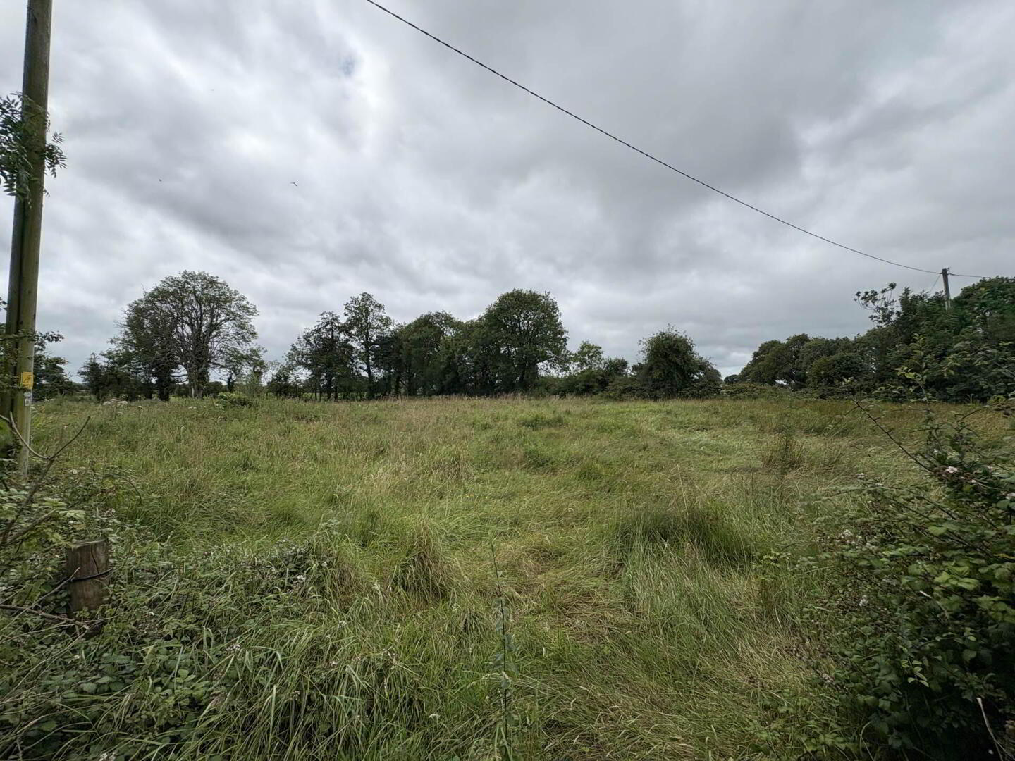 Gardenfield 5 of 5