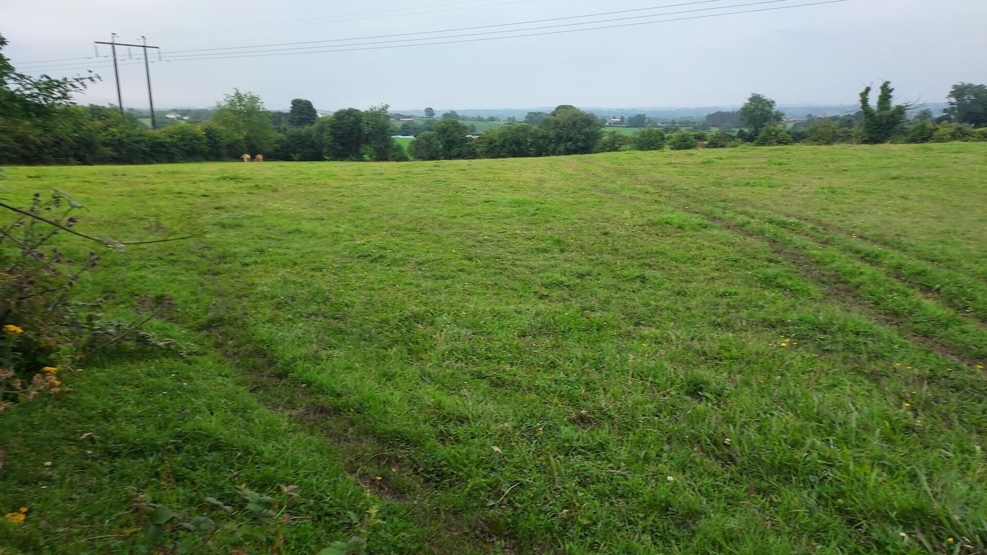 Woodstone Road 3 of 13