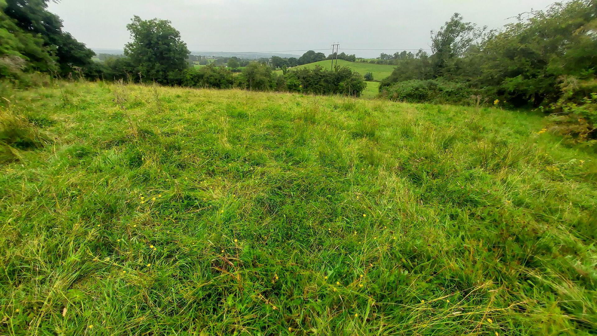 Woodstone Road 4 of 13