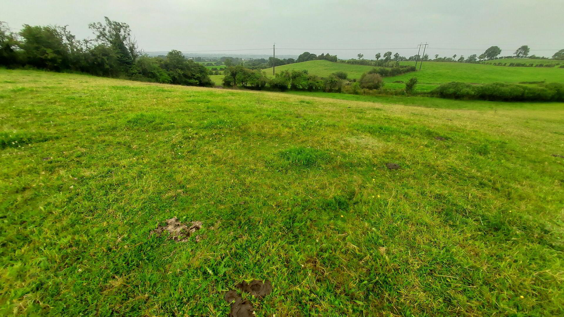 Woodstone Road 6 of 13